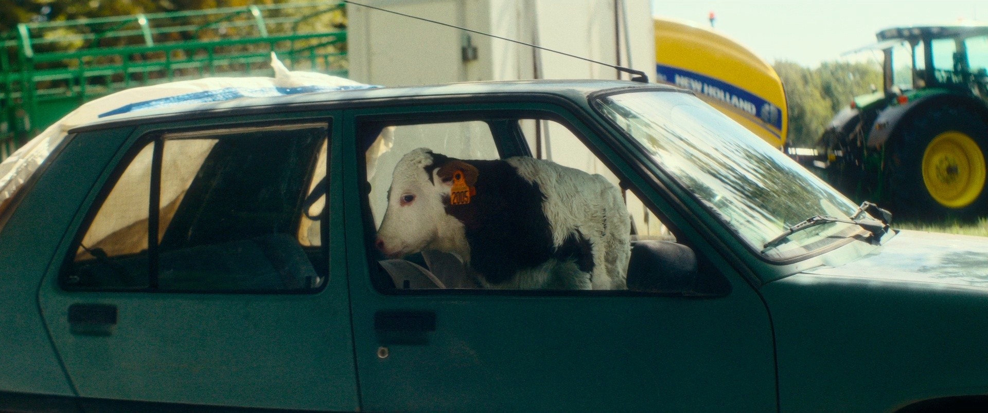Holy Cow (2025) —  shot,  lighting