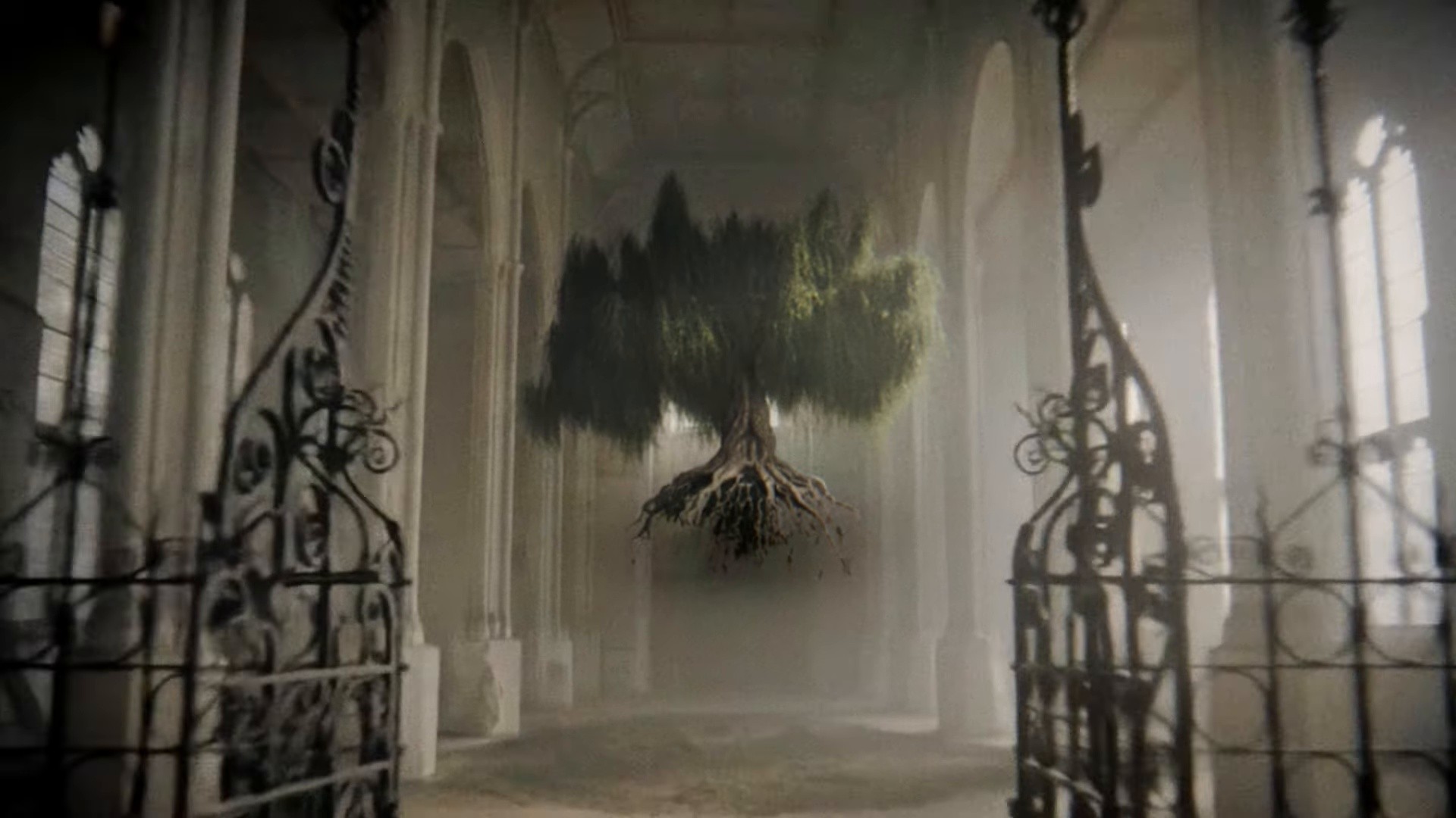 COLLAPSE PHASE (2026) —  shot,  lighting