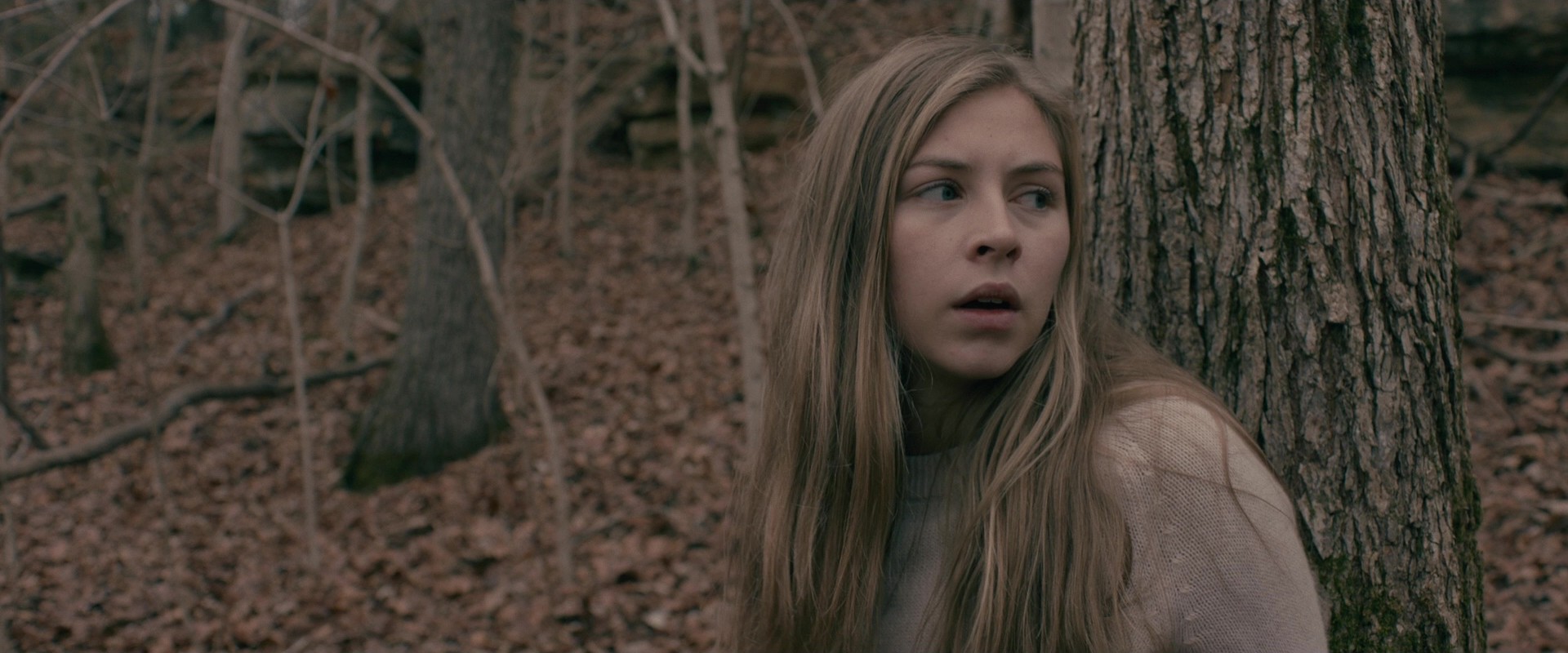 Rust Creek (2018) —  shot,  lighting