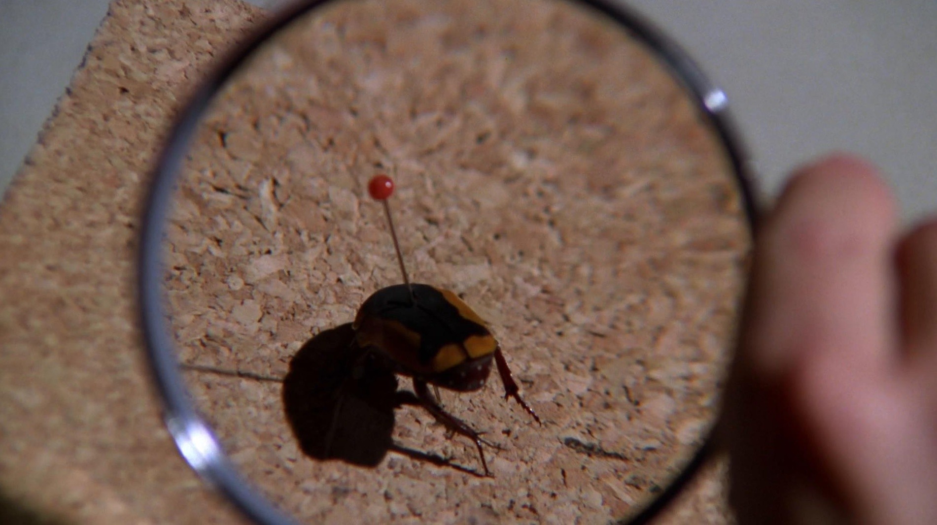 Bloodline (1979) —  shot,  lighting