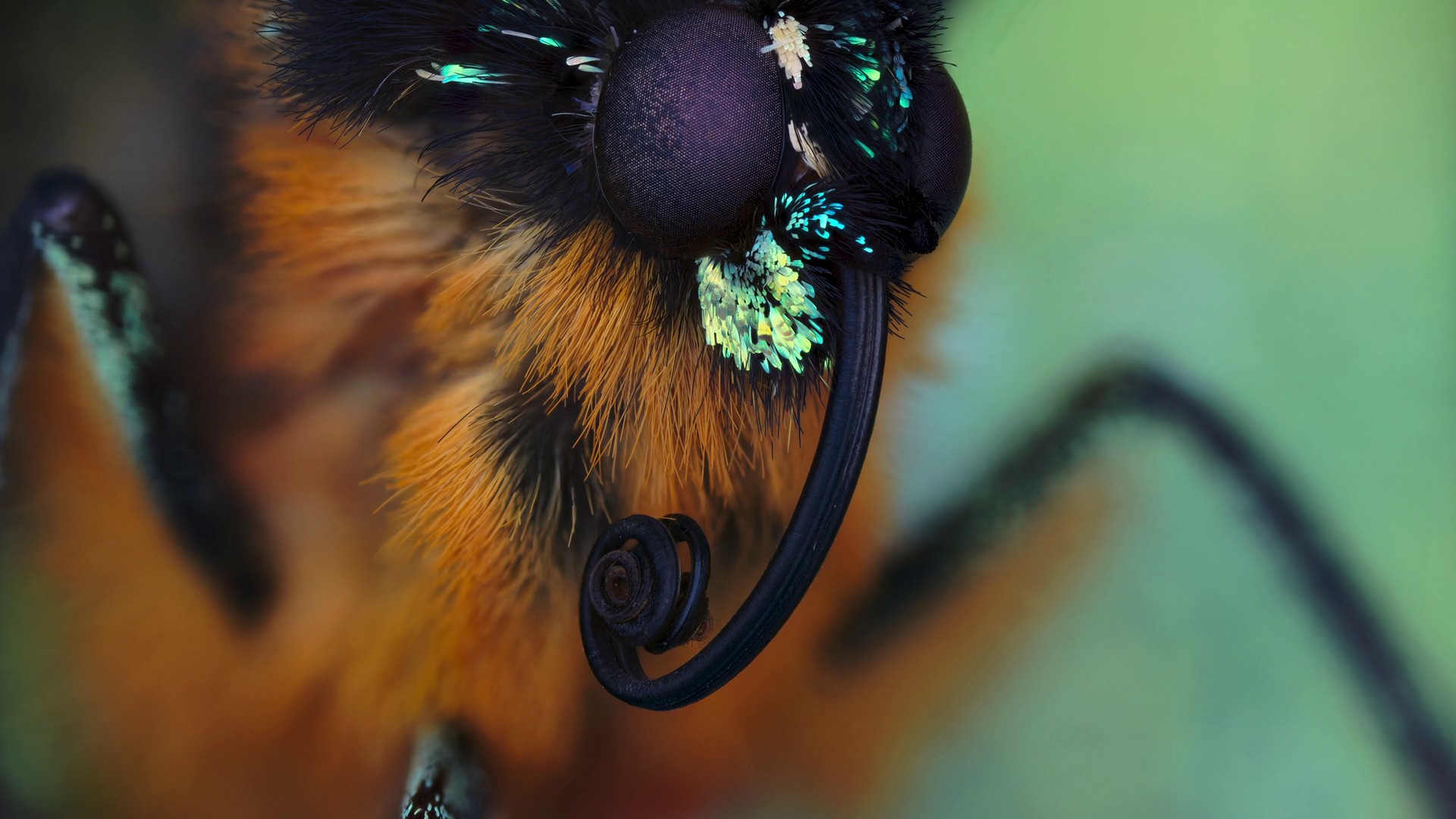 Invaders of the Land (2023) —  shot,  lighting