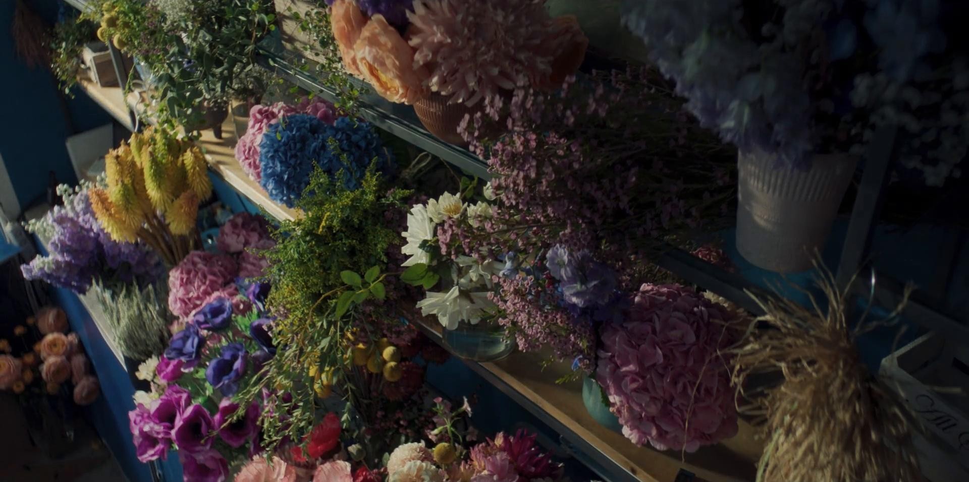 Banque Populaire "Les Fleurs" (2024) —  shot,  lighting