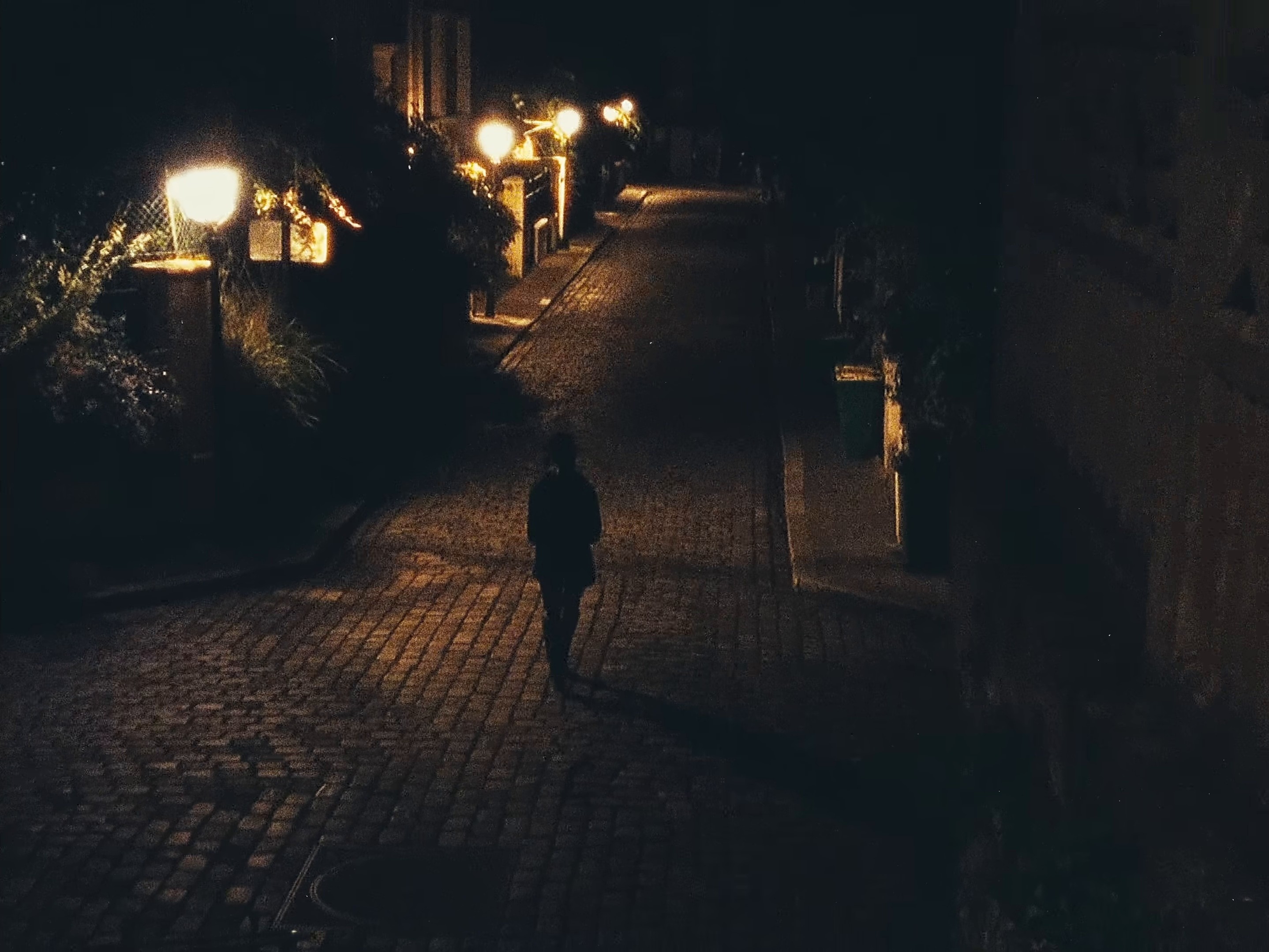 FLEURS FANÉES (2024) —  shot,  lighting