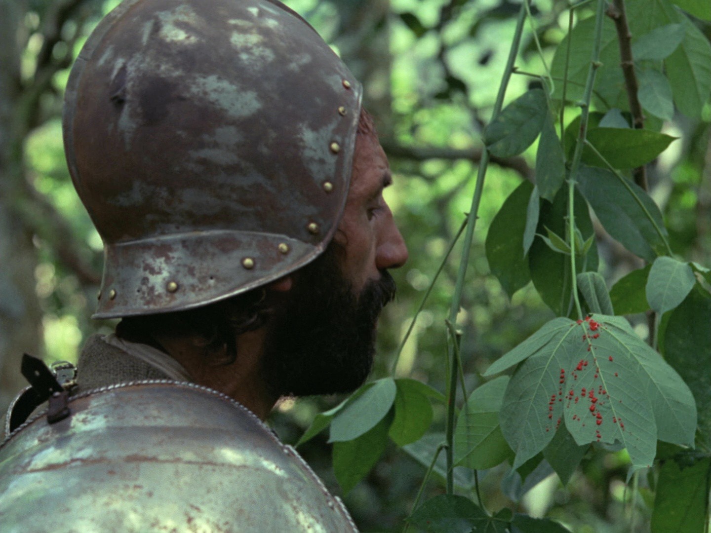 Aguirre, the Wrath of God (1972) —  shot,  lighting