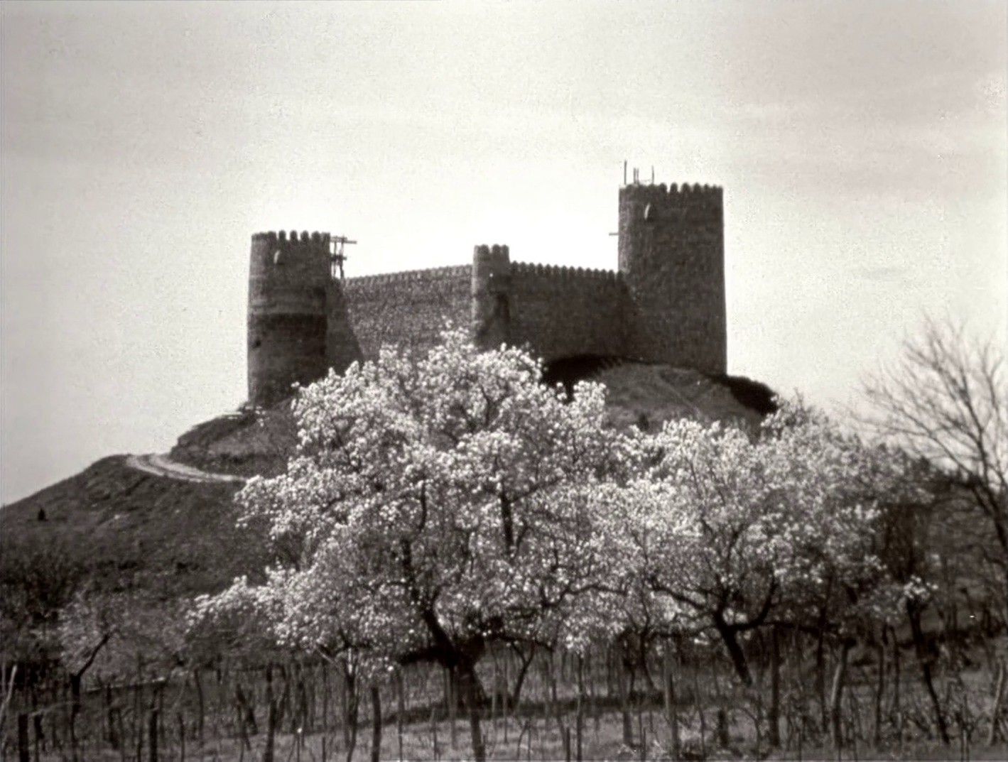 The Legend of Suram Fortress (1986) —  shot,  lighting