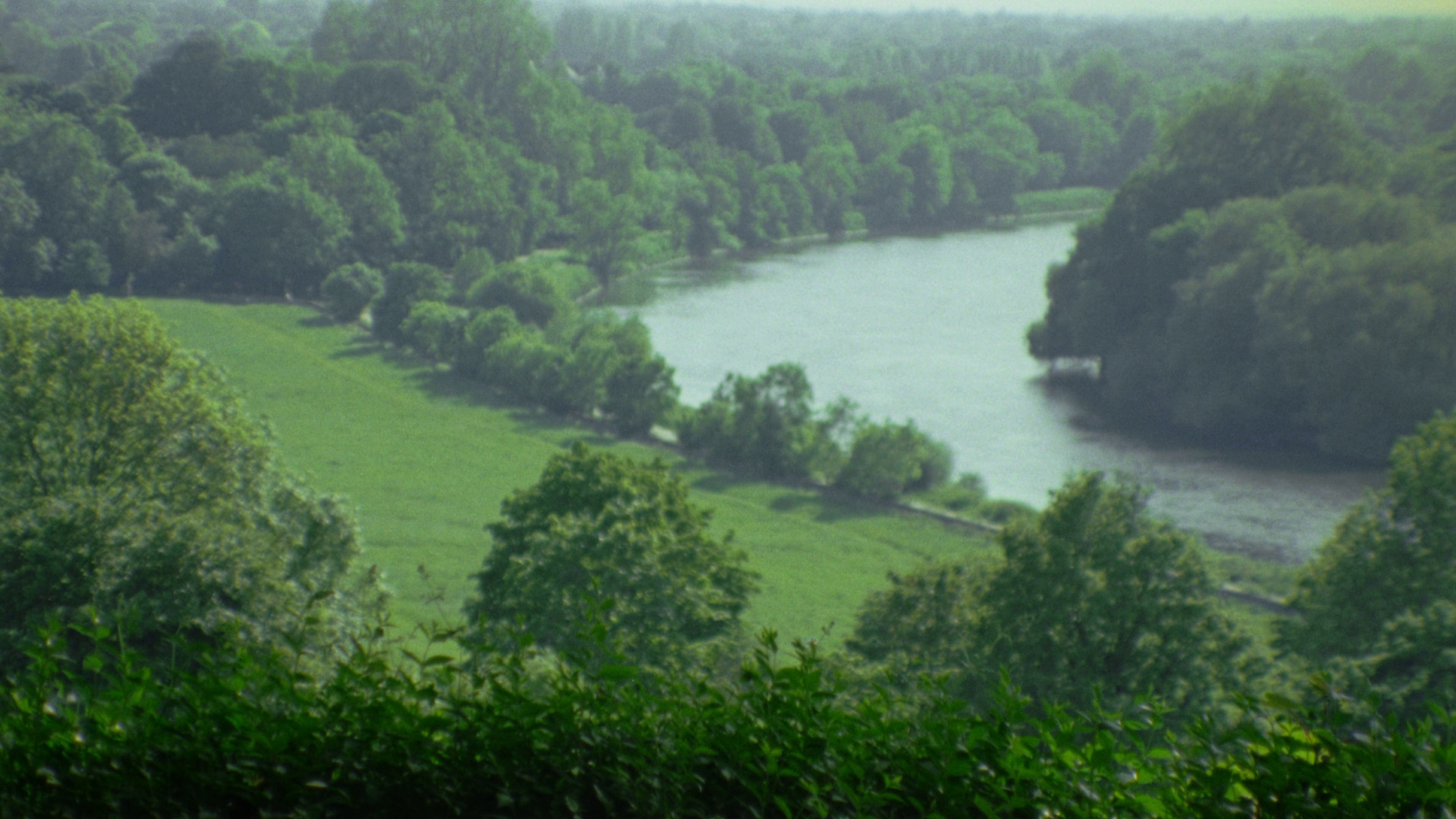 Florence Black SS24 Campaign (2024) —  shot,  lighting