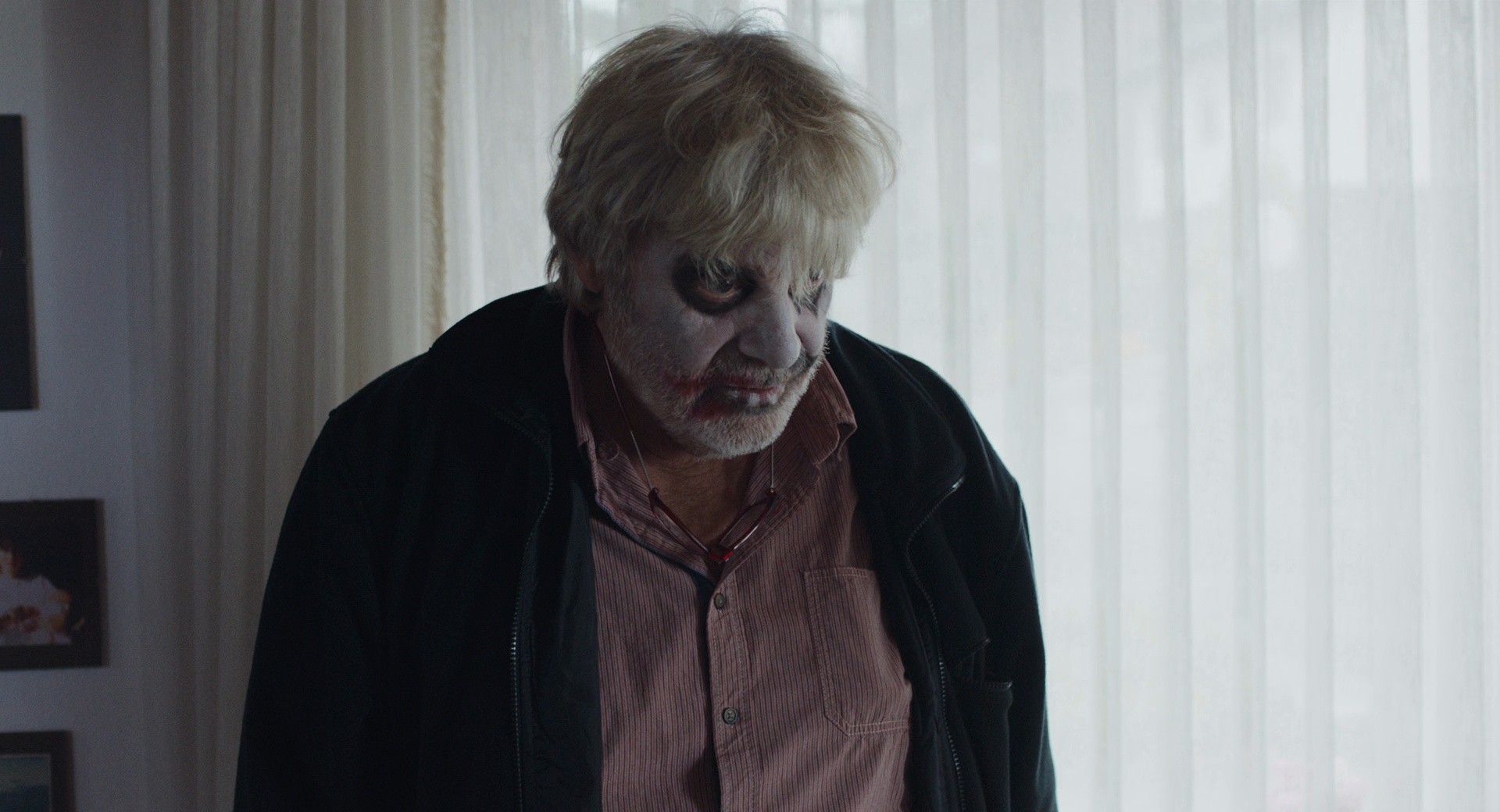 Toni Erdmann (2016) —  shot,  lighting