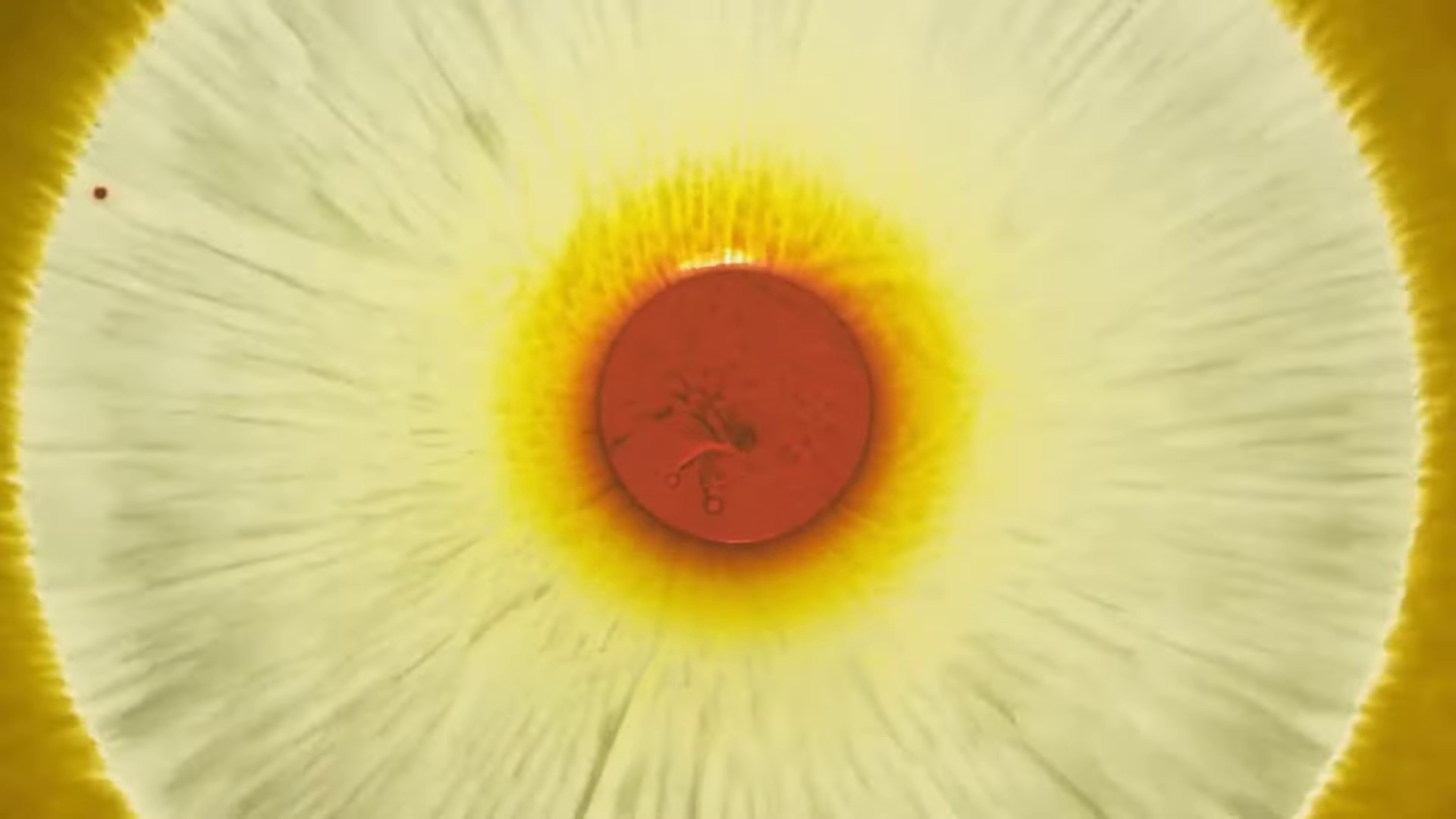 Eternal Elegance: Yifei Liu x Serpenti | Bulgari Jewelry (2023) —  shot,  lighting