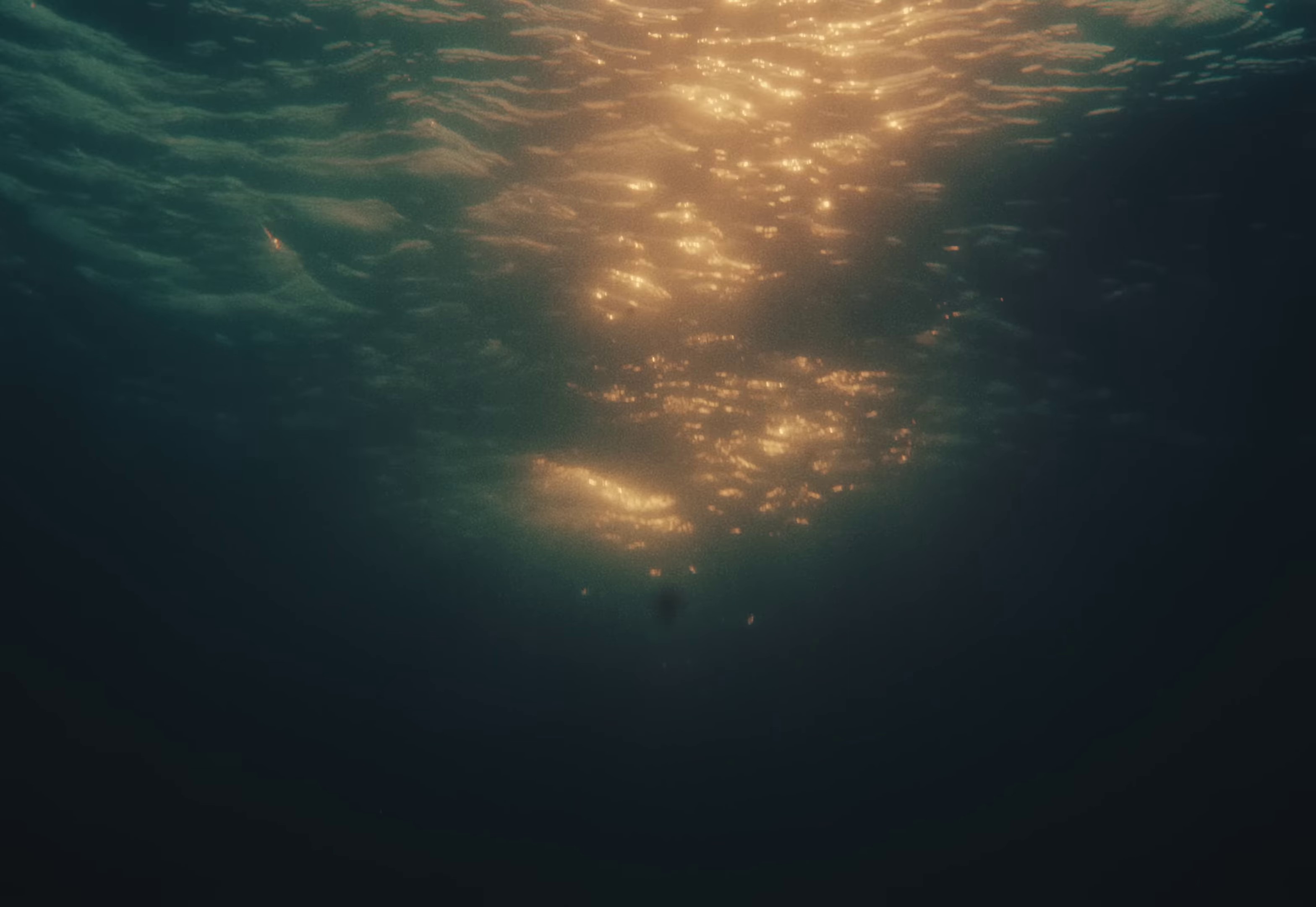 Flava (2024) —  shot,  lighting