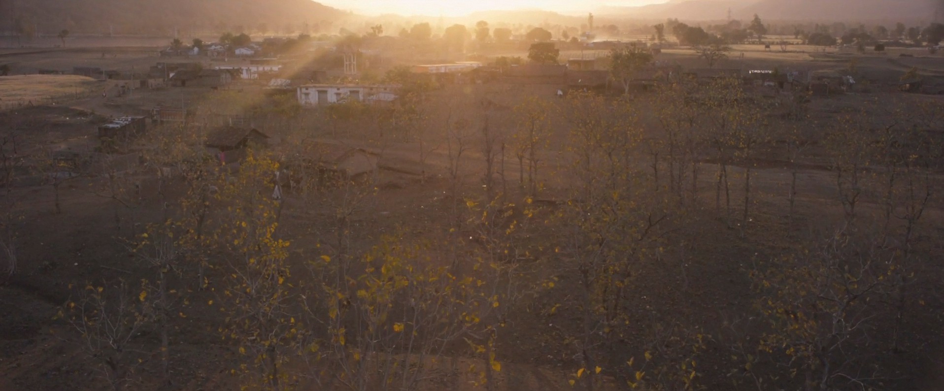 Lion (2016) —  shot,  lighting