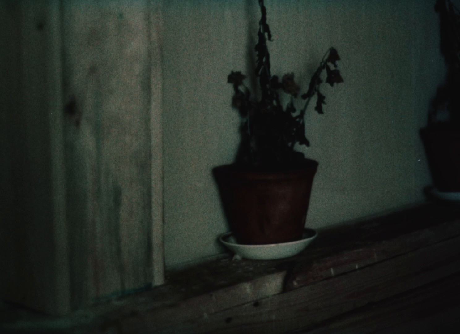 Semya vurdalakov (1990) —  shot,  lighting