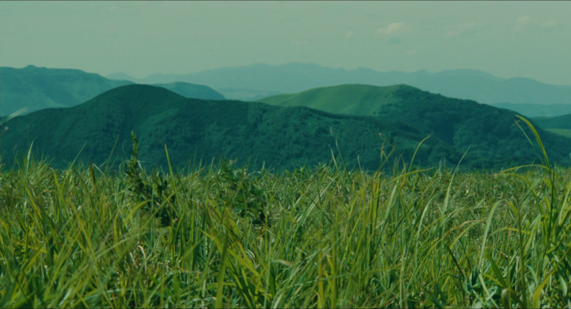 Ran (1985) —  shot,  lighting