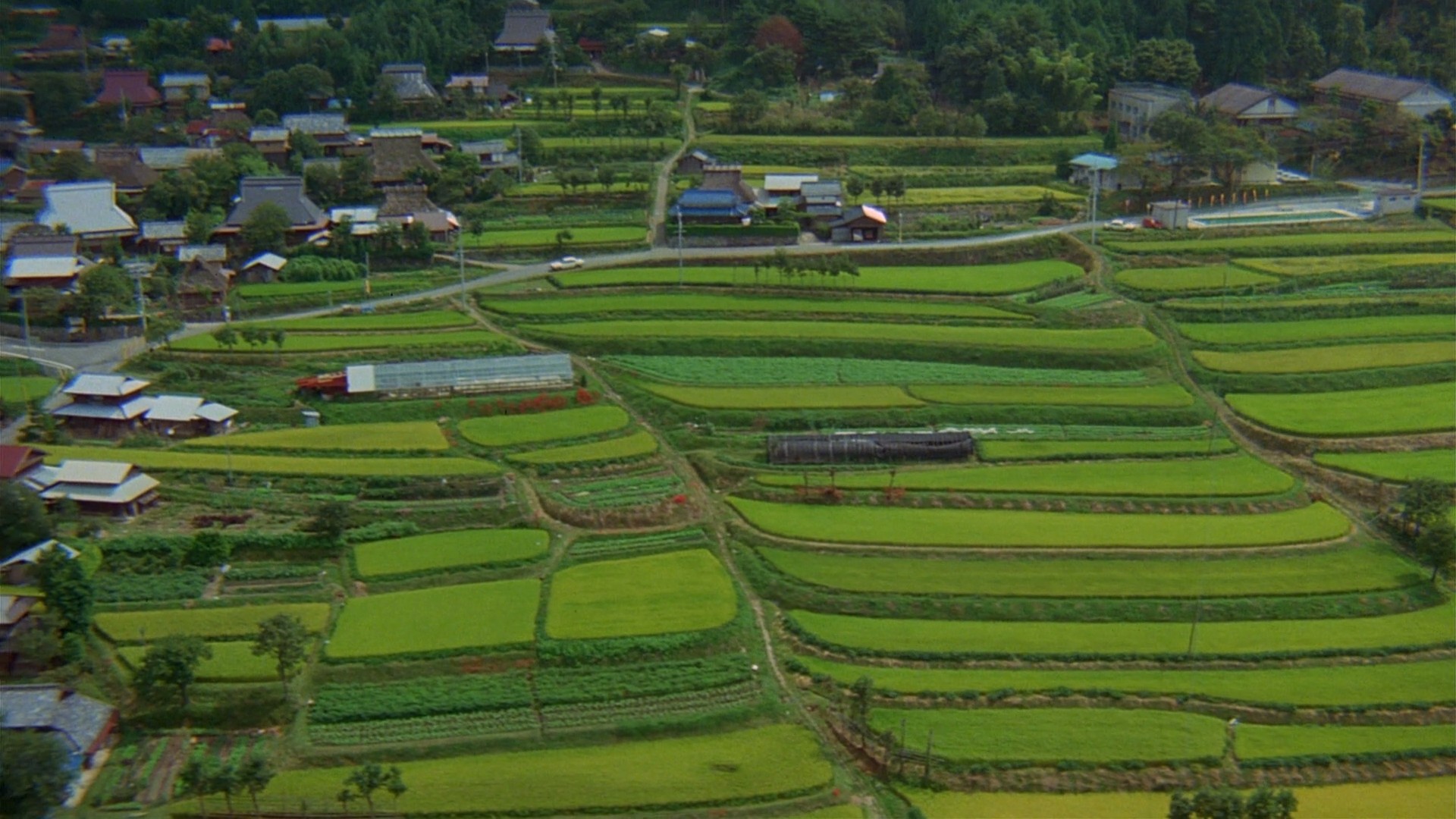 The House Where Evil Dwells (1982) —  shot,  lighting