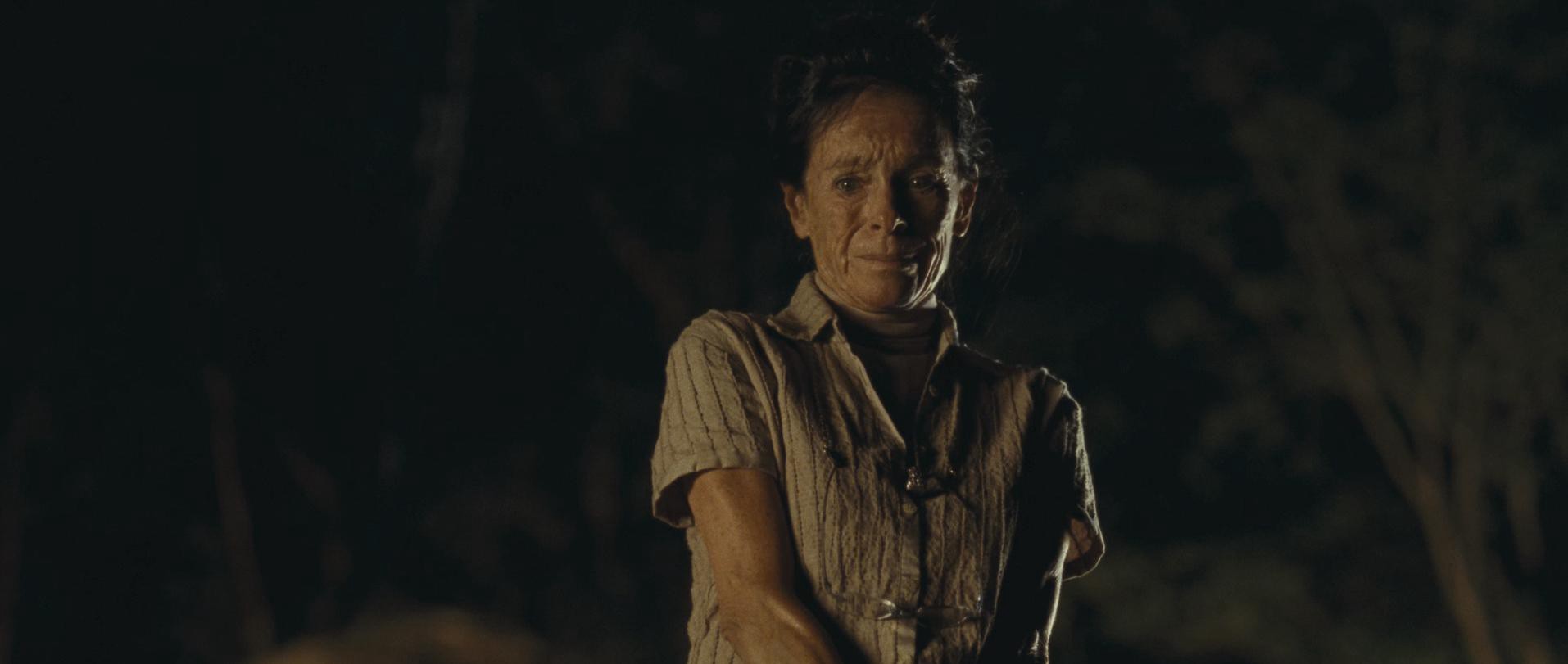 The Impossible (2012) —  shot,  lighting