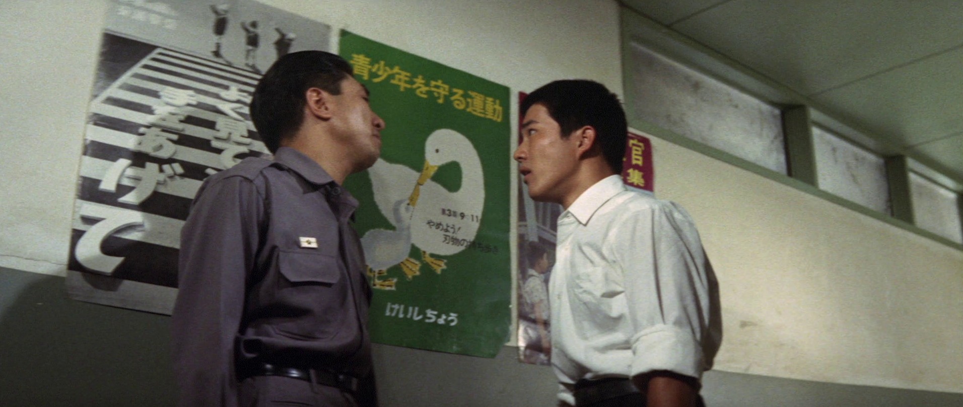 Ebirah, Horror of the Deep (1966) —  shot,  lighting