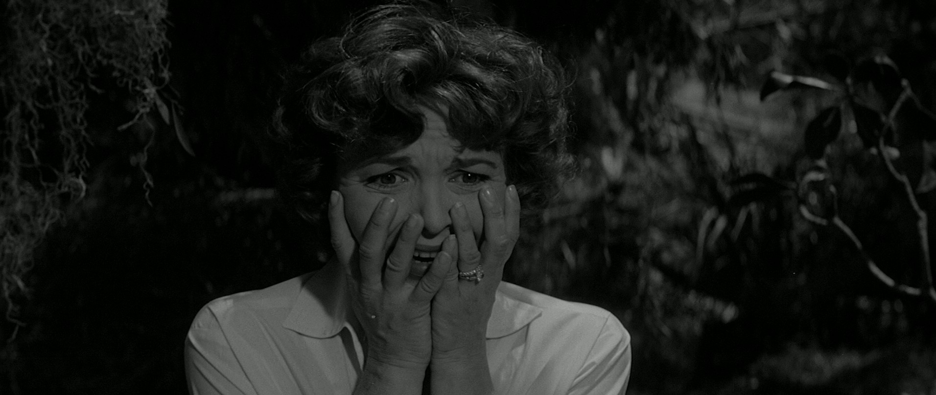 The Alligator People (1959) —  shot,  lighting