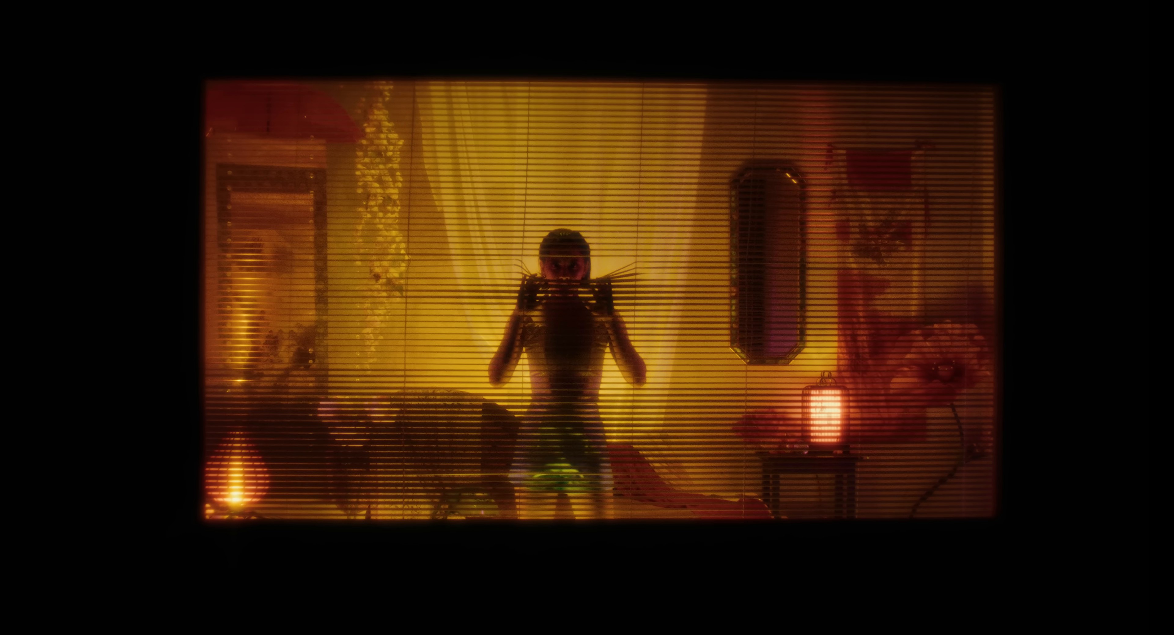 Happy Like You (2024) —  shot,  lighting