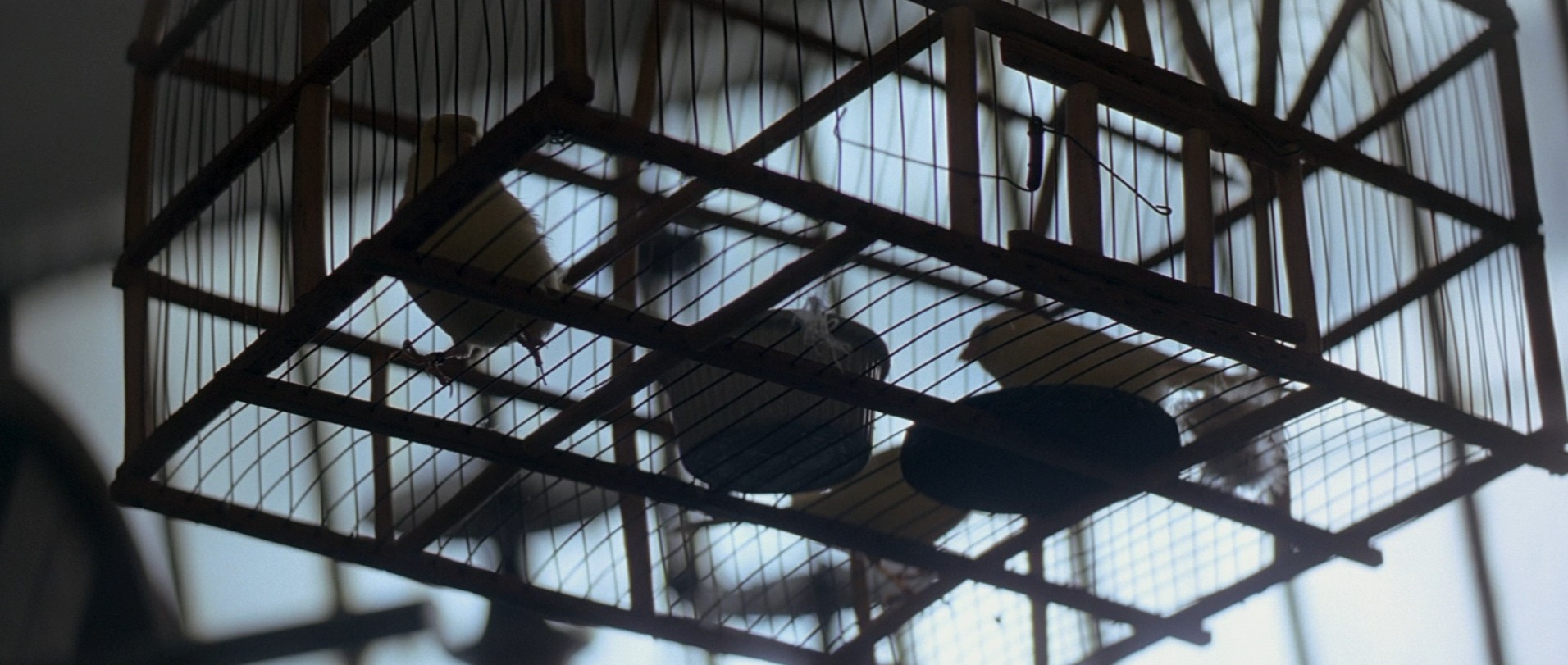 The Prestige (2006) —  shot,  lighting