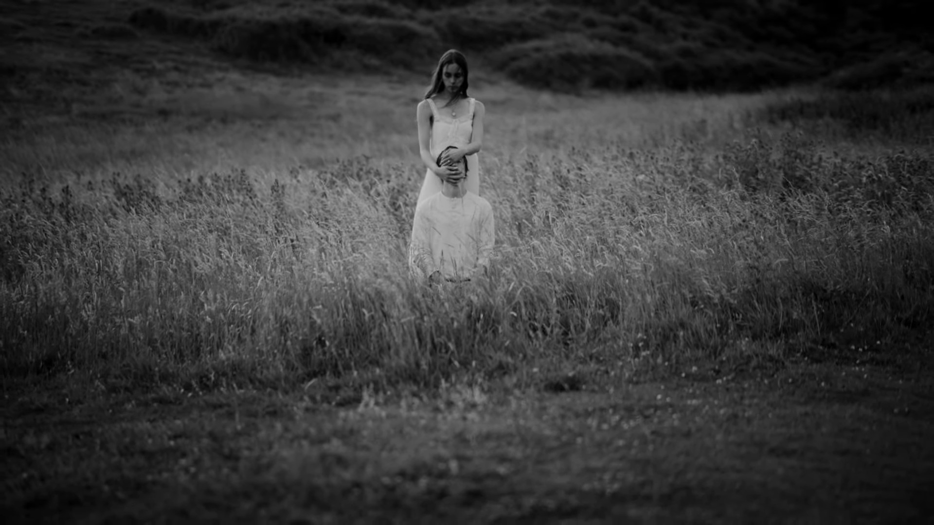 Koalas (2024) —  shot,  lighting