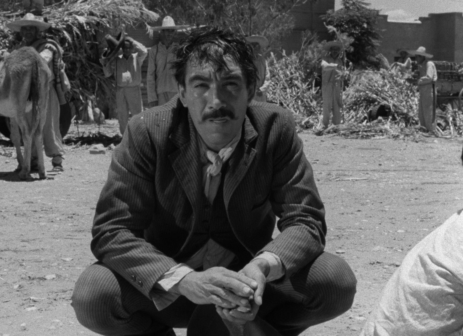 Viva Zapata! (1952) —  shot,  lighting