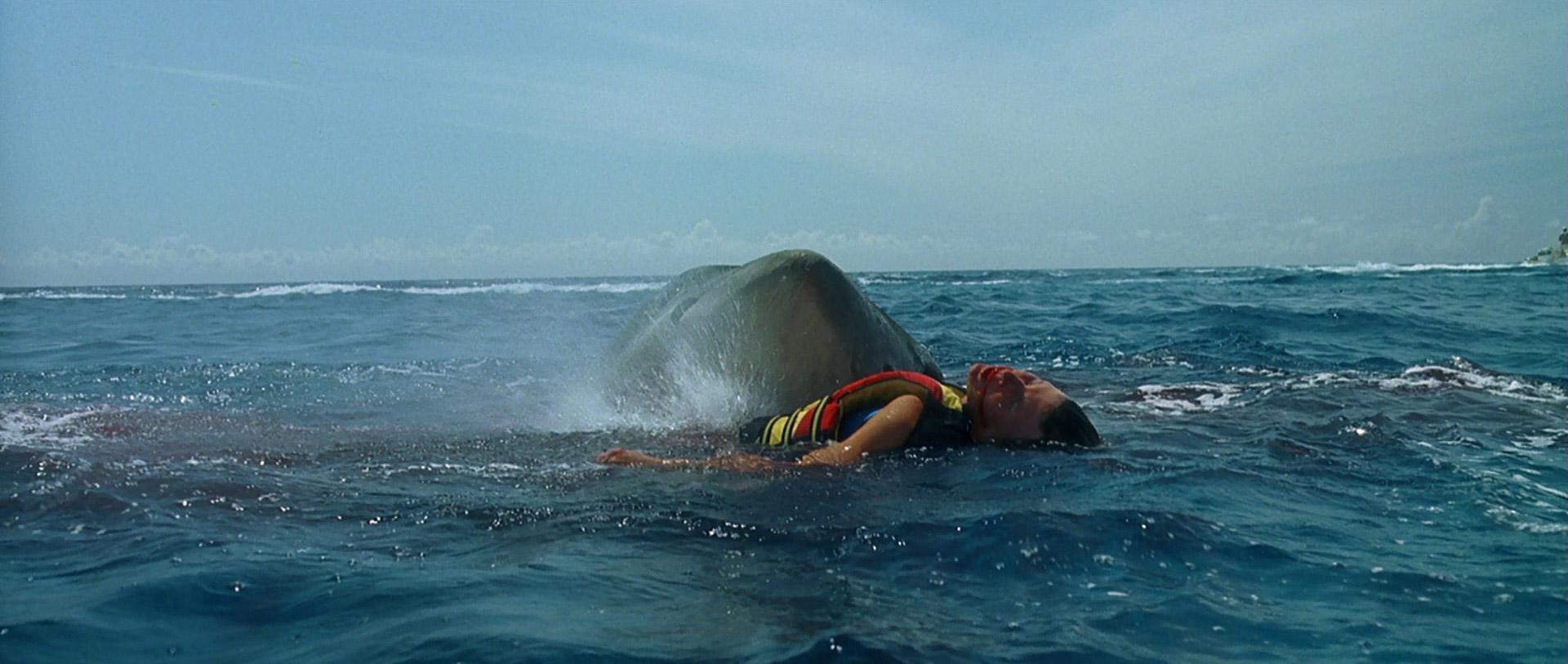 Jaws: The Revenge (1987) —  shot,  lighting