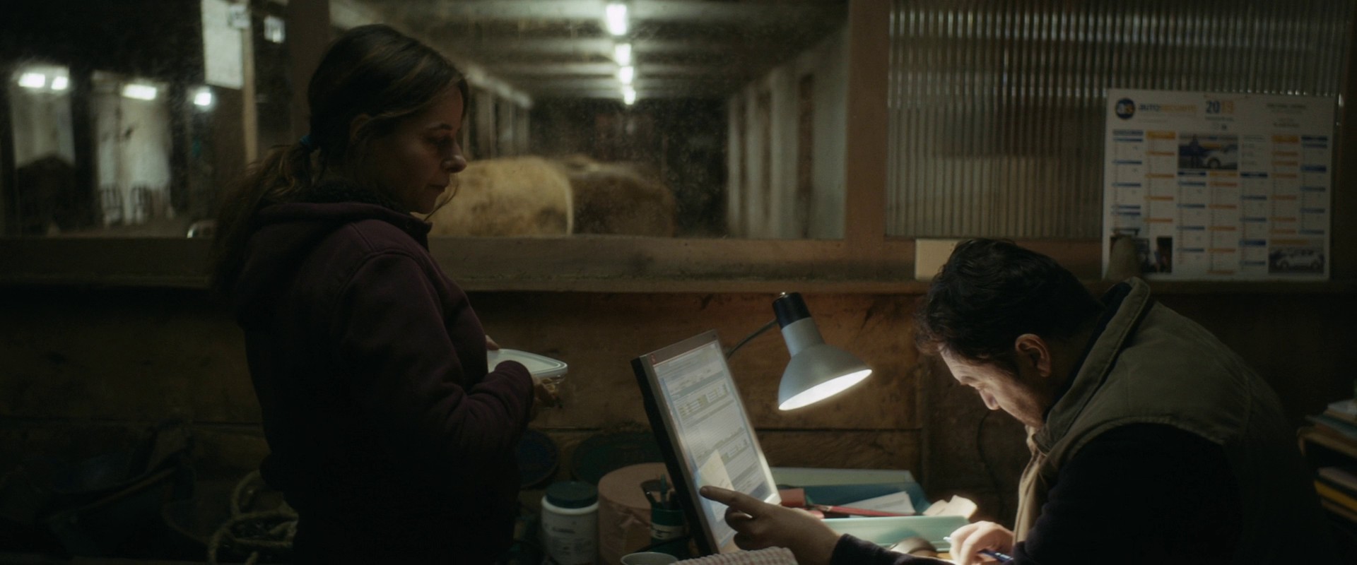 Only the Animals (2019) —  shot,  lighting