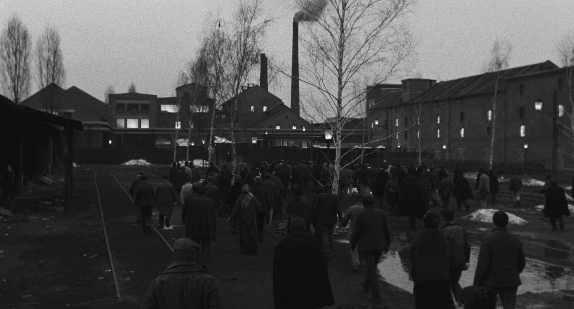 The Organizer (1963) —  shot,  lighting