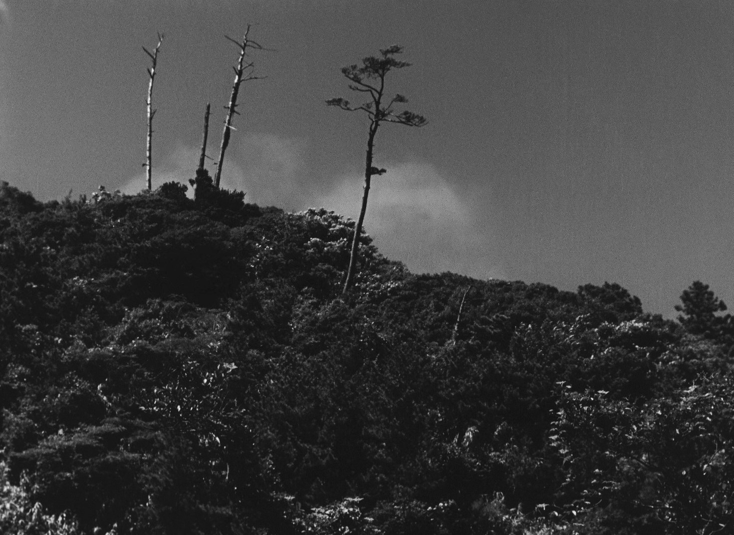 Late Spring (1949) —  shot,  lighting