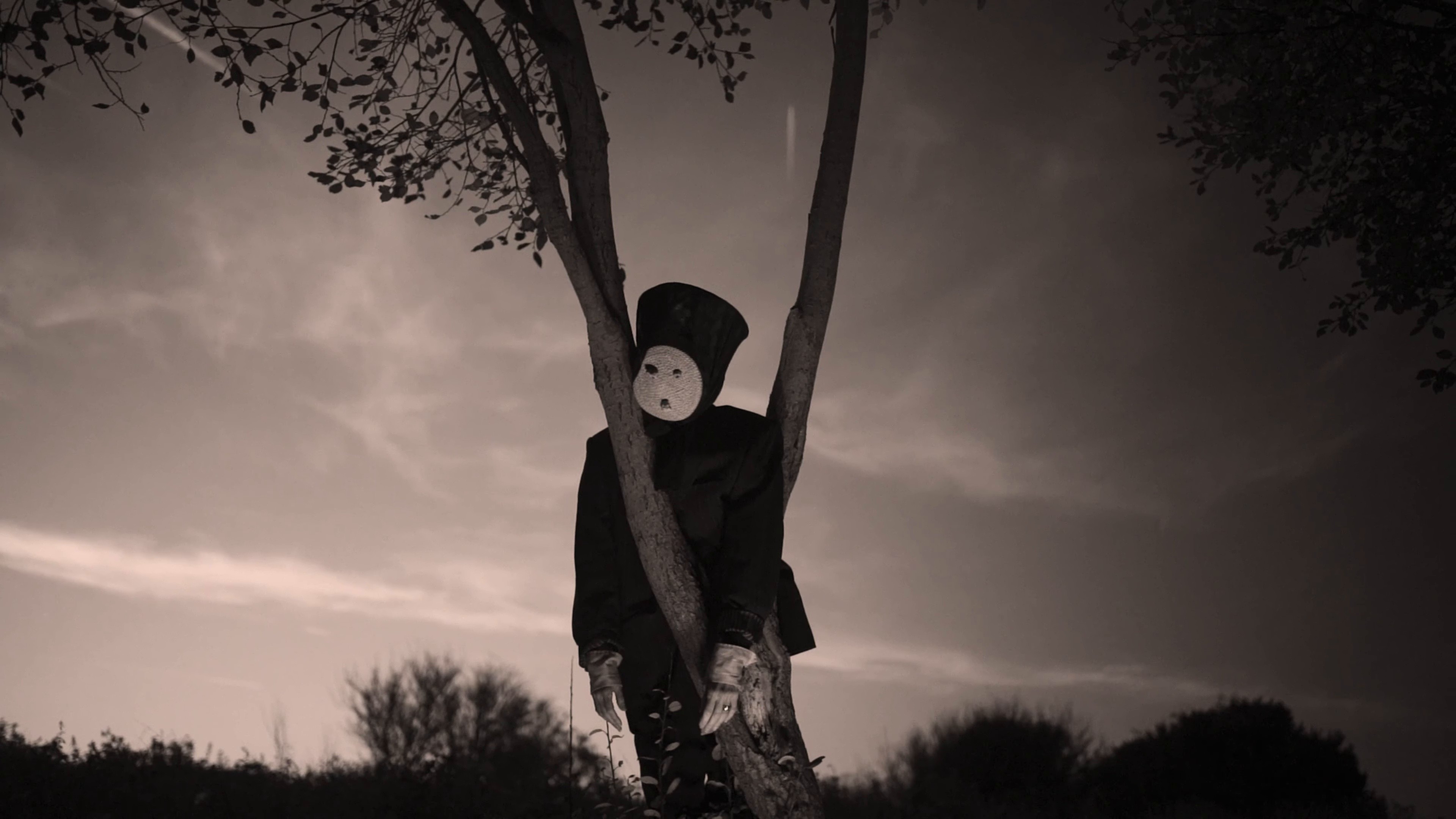 The Mercy of The Hagetisse (2025) —  shot,  lighting