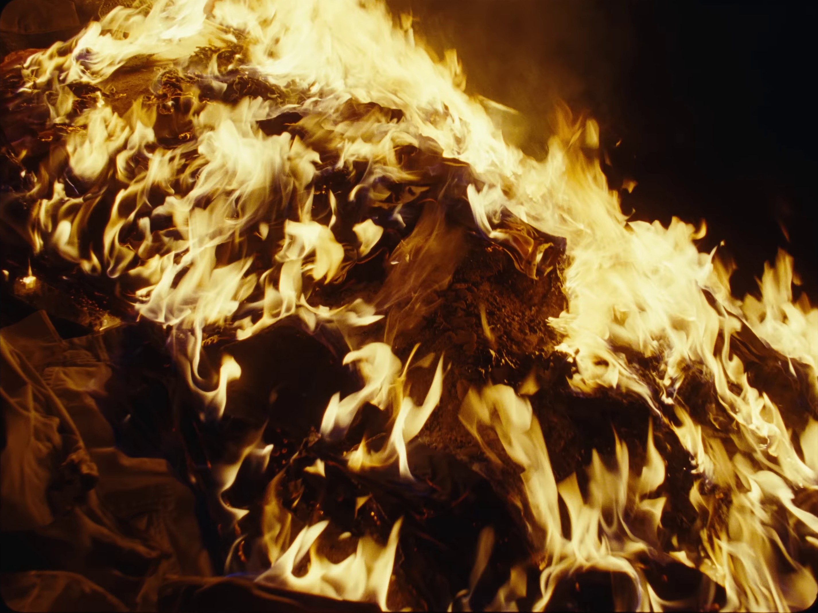 if looks could kill (2023) —  shot,  lighting