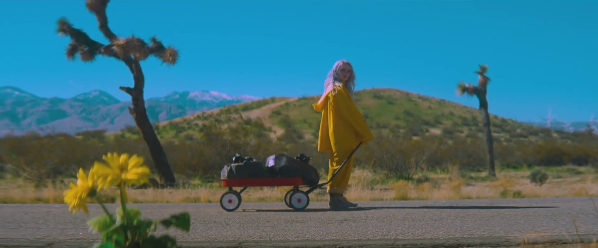 Bellyache (2017) —  shot,  lighting