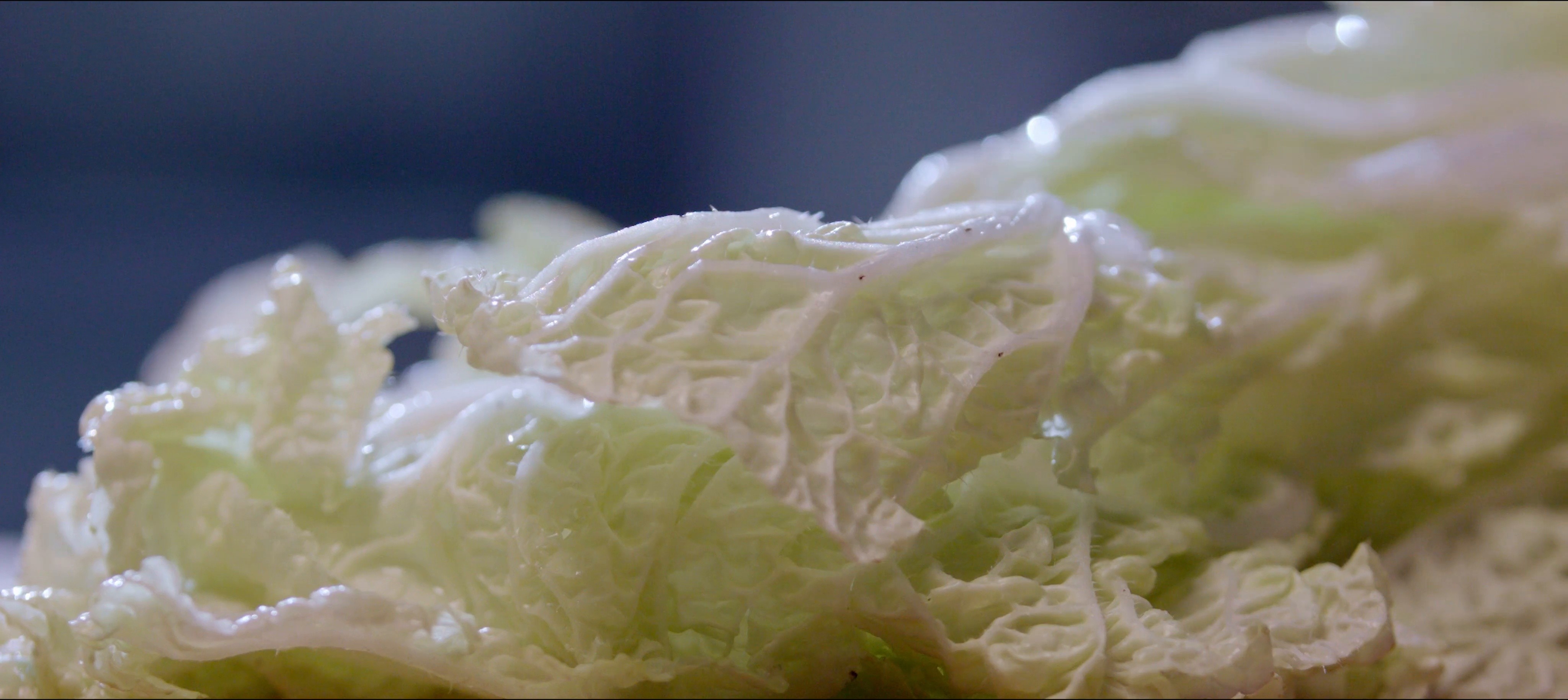 Noodle Pack Orange Chicken Commercial (2017) —  shot,  lighting