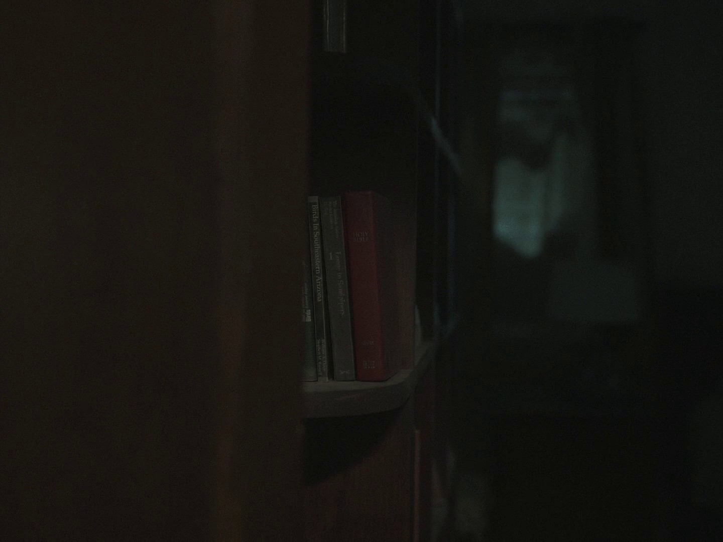 The Whale (2023) —  shot,  lighting