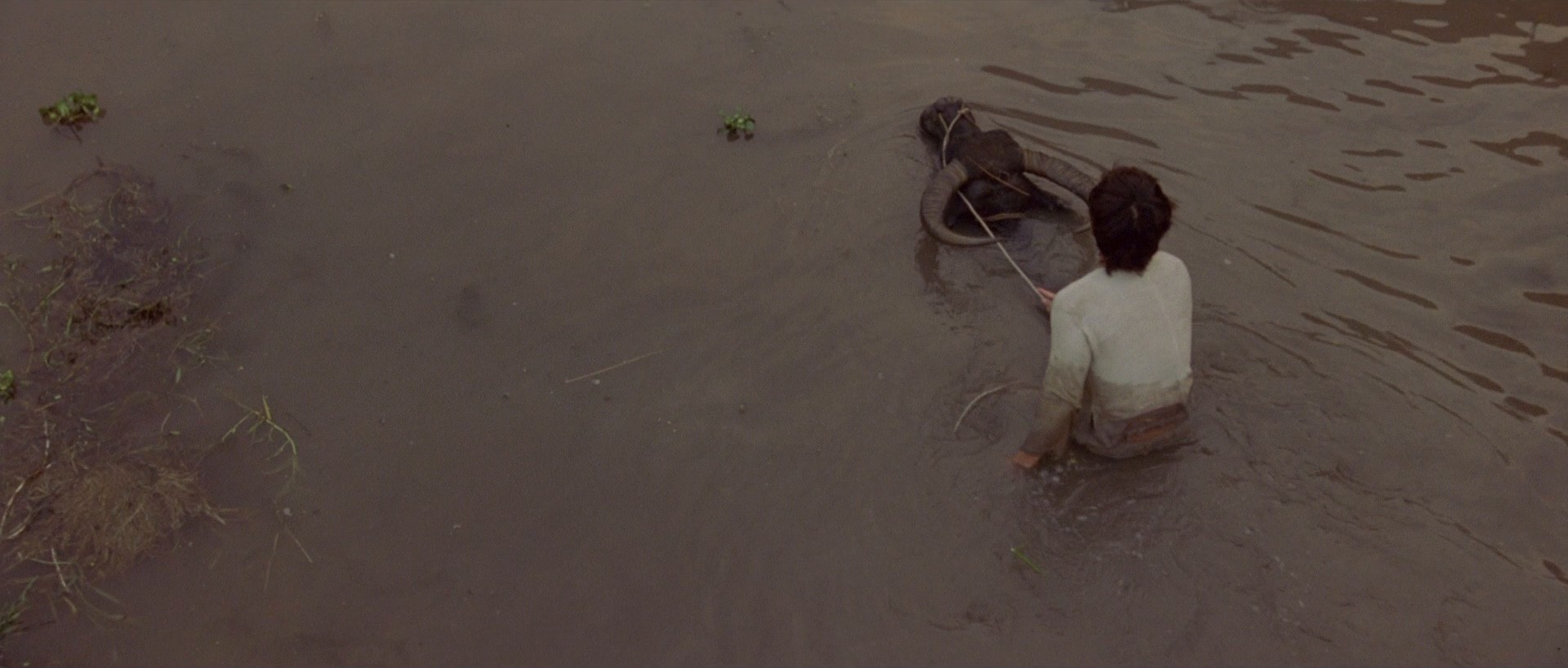 The Beautiful Country (2004) —  shot,  lighting