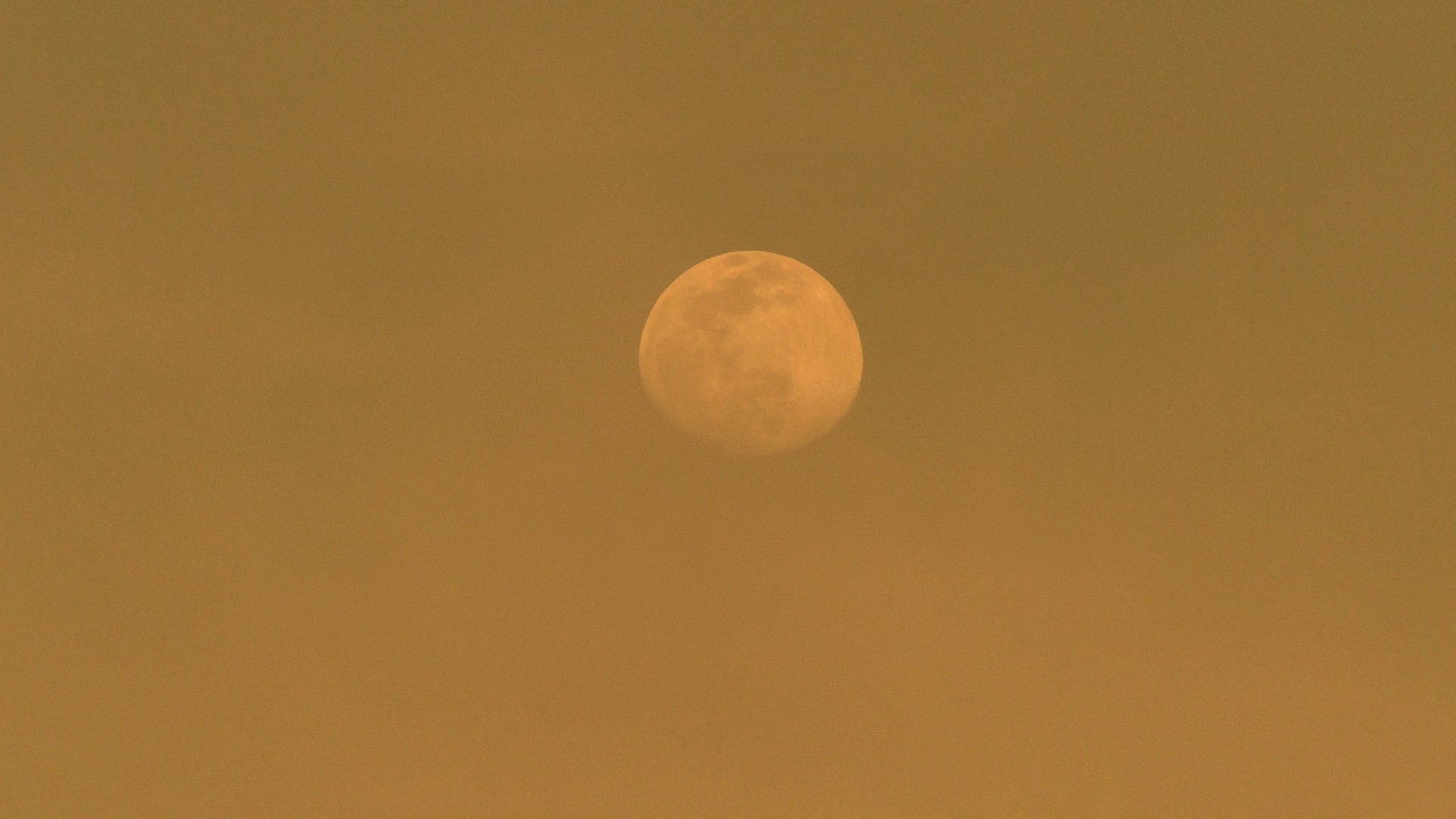 Three Storages (2021) —  shot,  lighting