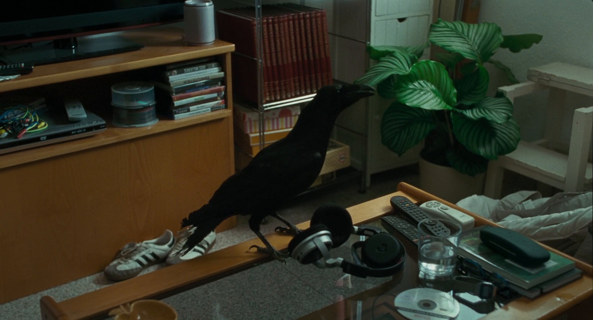 Salve Maria (2024) —  shot,  lighting