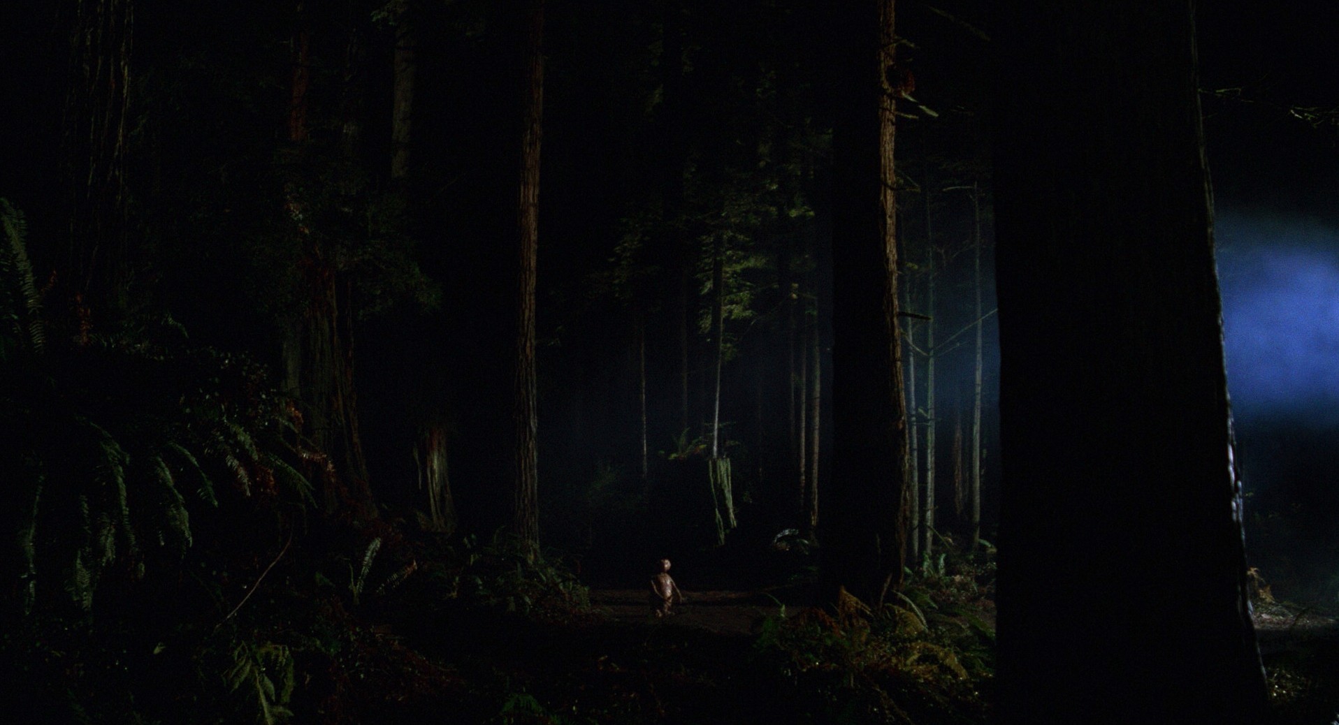 E.T. the Extra-Terrestrial (1982) —  shot,  lighting