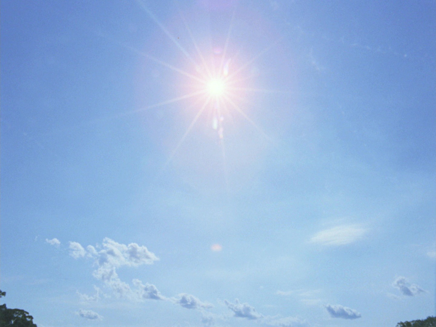 Aguirre, the Wrath of God (1972) —  shot,  lighting