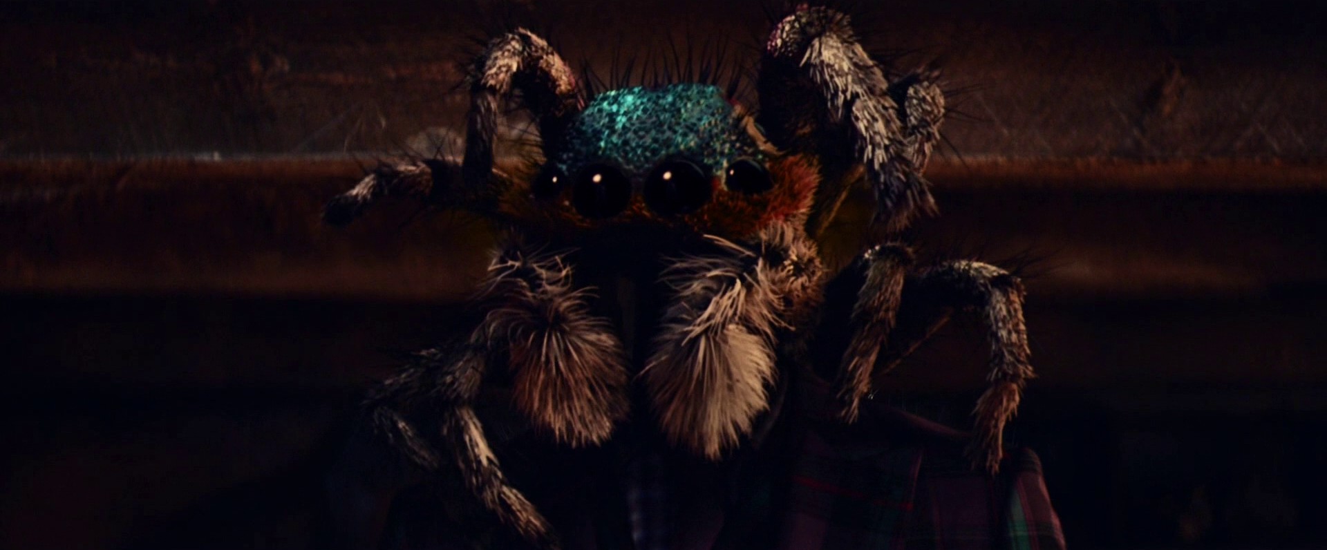 The Secret of Spoons (2017) —  shot,  lighting