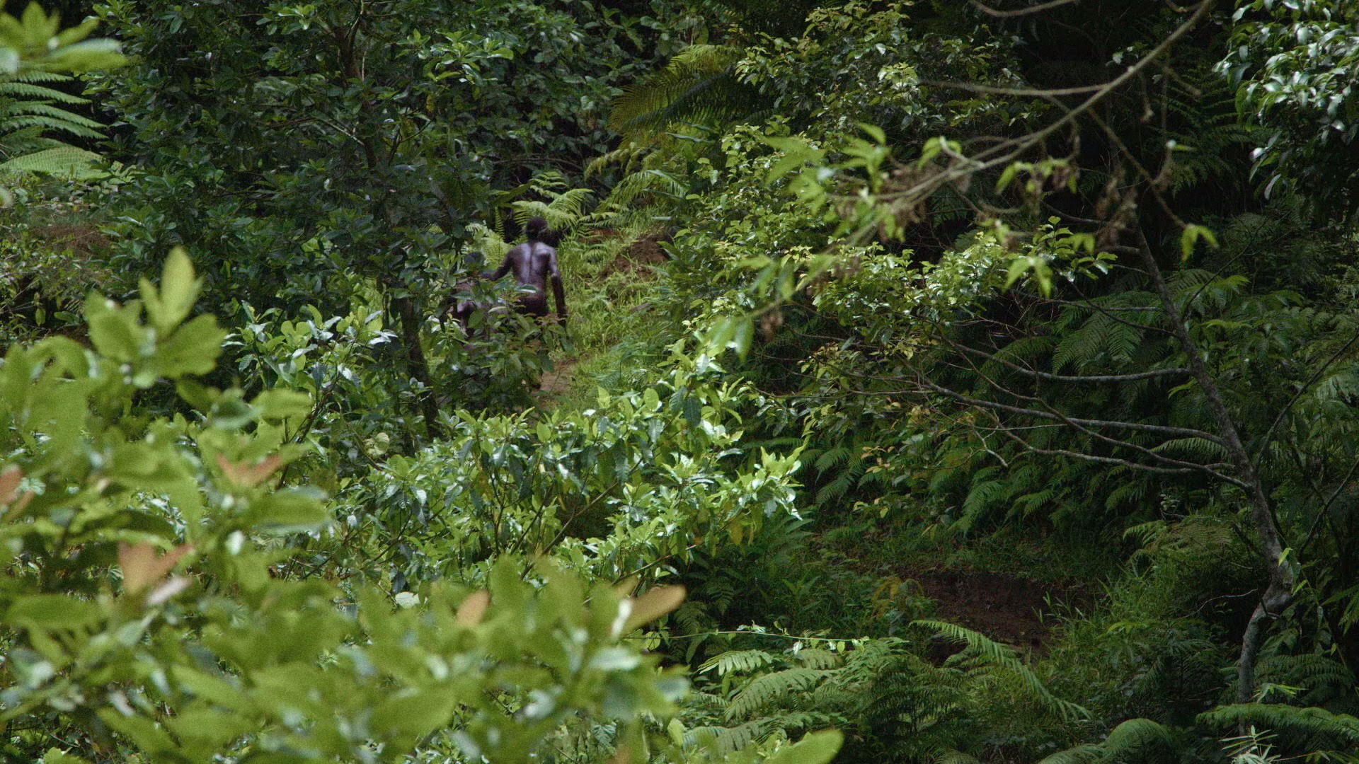 Tanna (2015) —  shot,  lighting