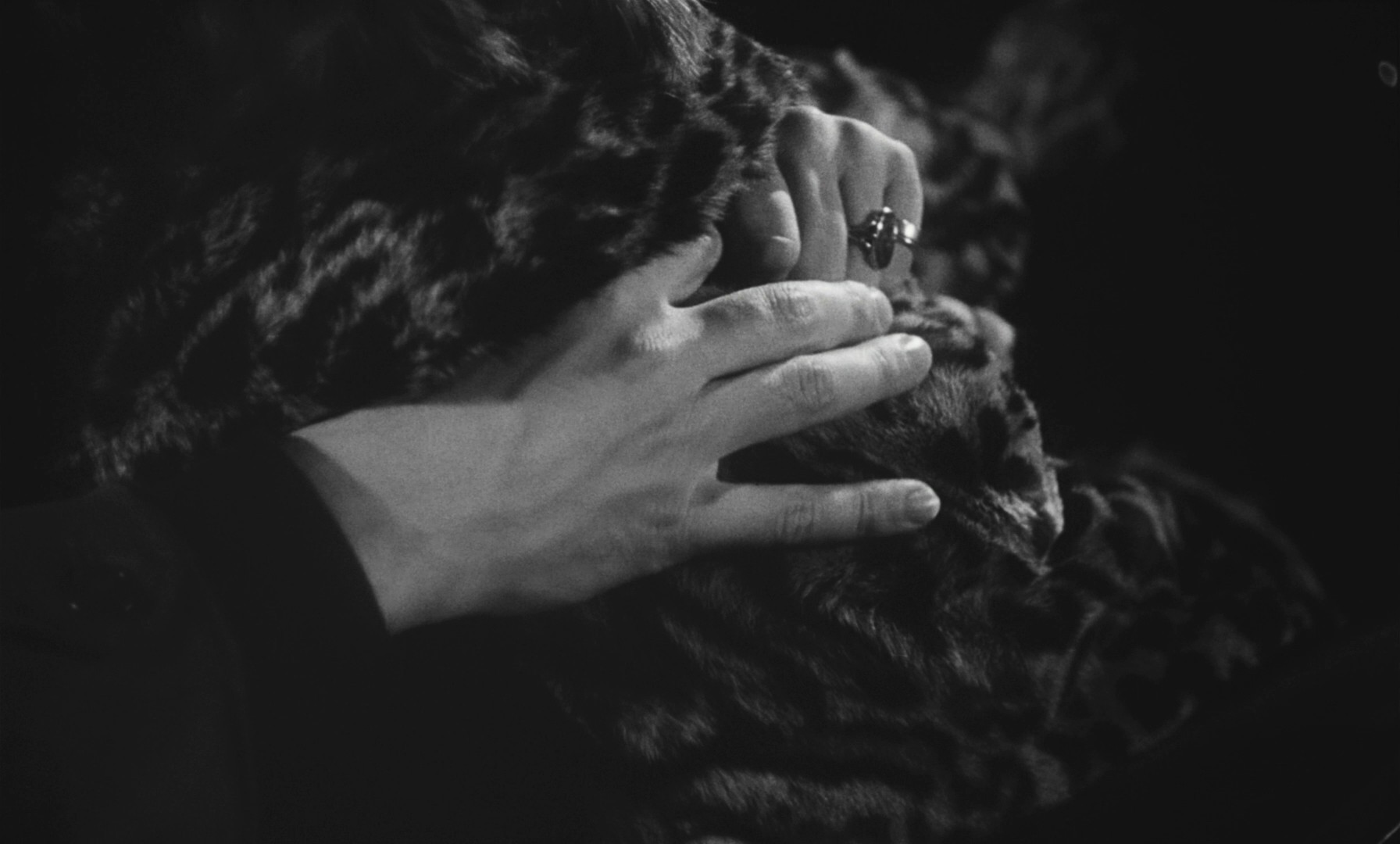 Le monte-charge (1962) —  shot,  lighting