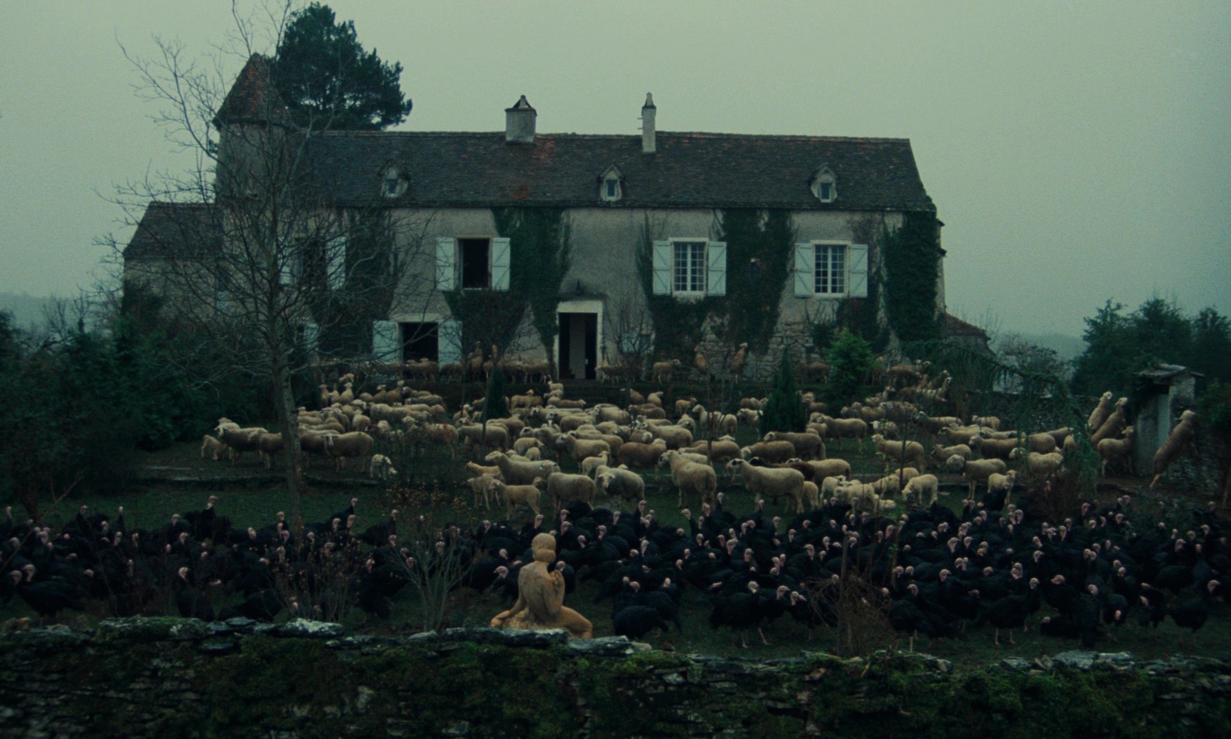 Black Moon (1975) —  shot,  lighting