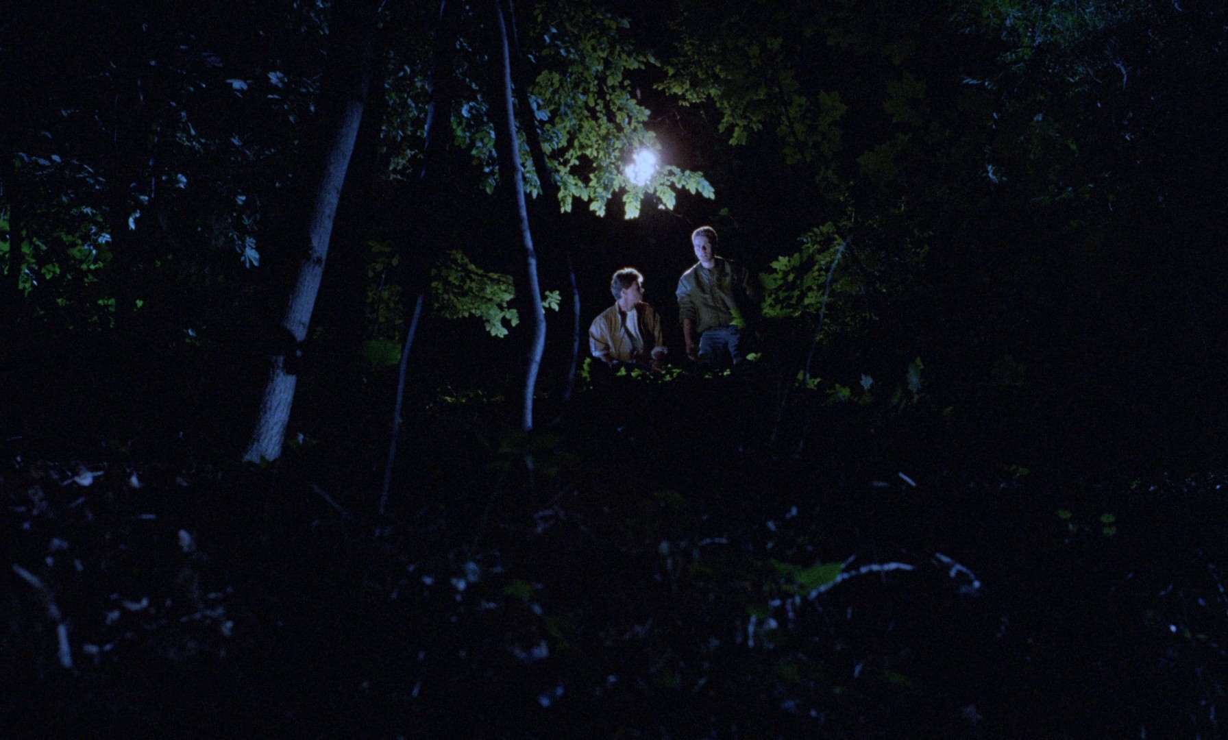 Phenomena (1985) —  shot,  lighting