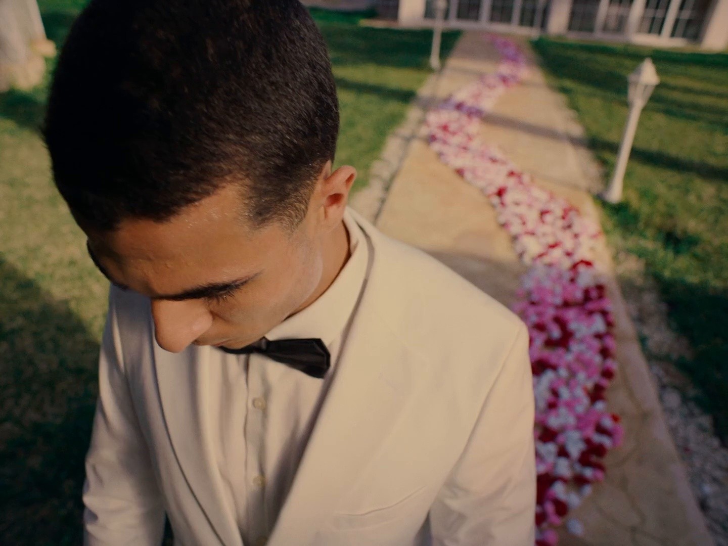 Vénus - Eden Garden (DC) (2024) —  shot,  lighting