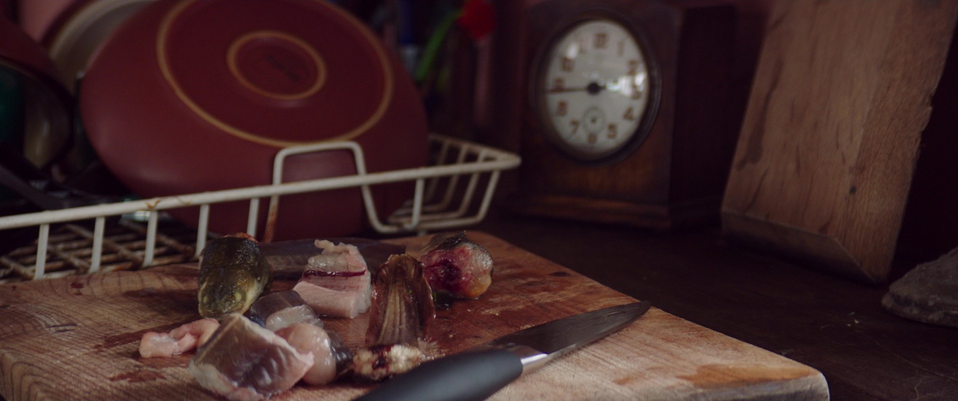 20,000 Days on Earth (2014) —  shot,  lighting