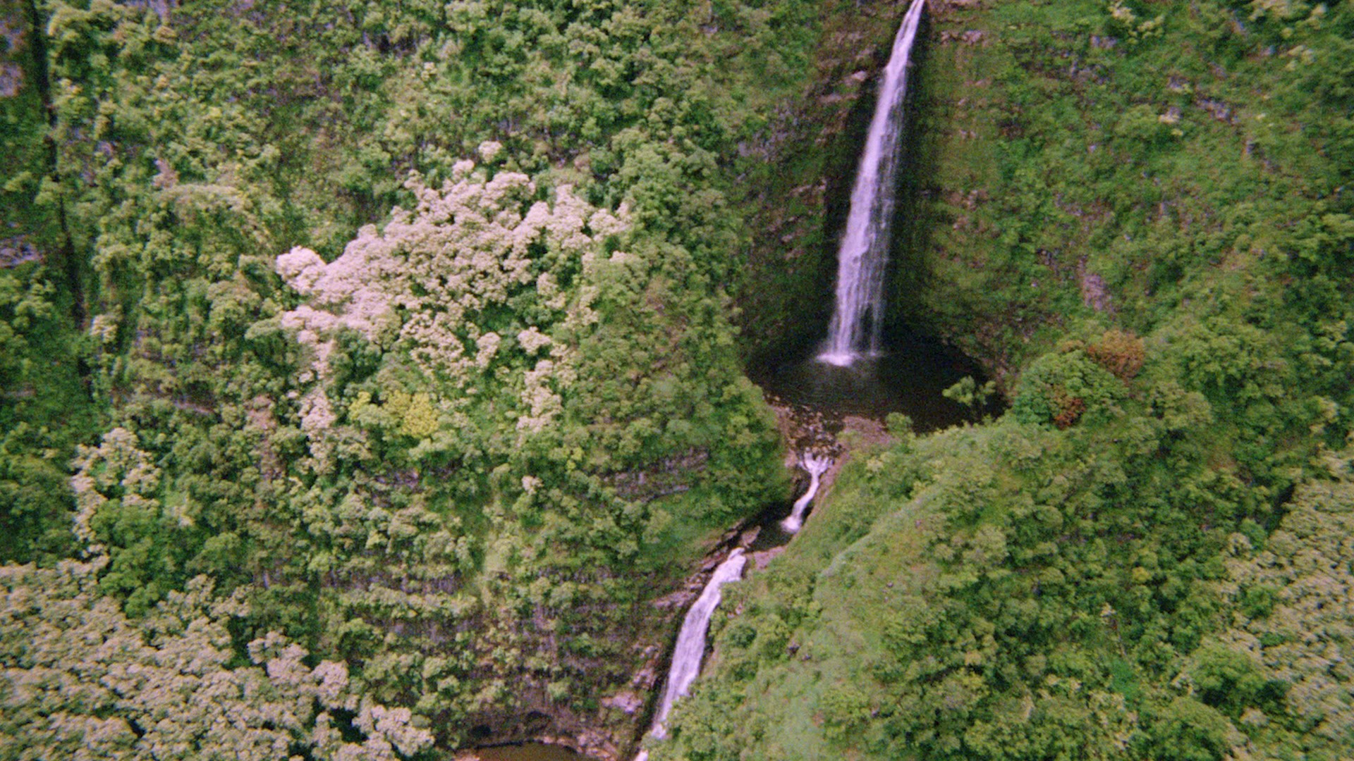 Hard Ticket to Hawaii (1987) —  shot,  lighting