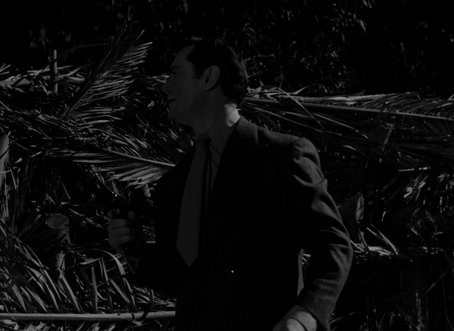 Poison Ivy (1953) —  shot,  lighting