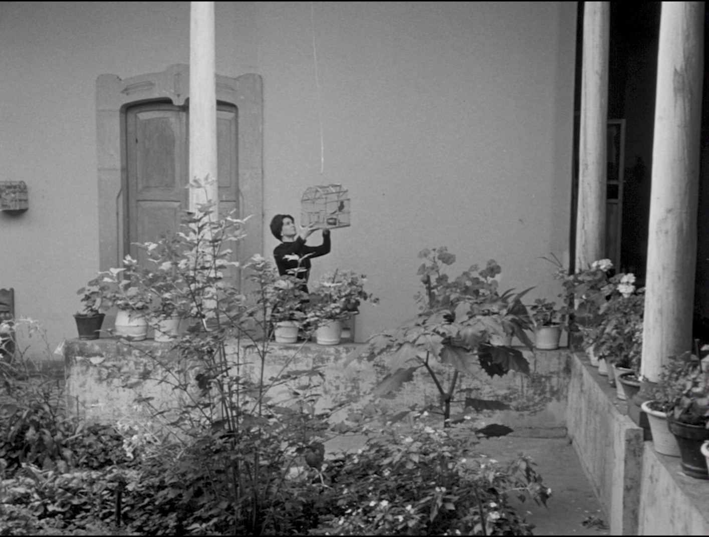 Tiempo de morir (1966) —  shot,  lighting