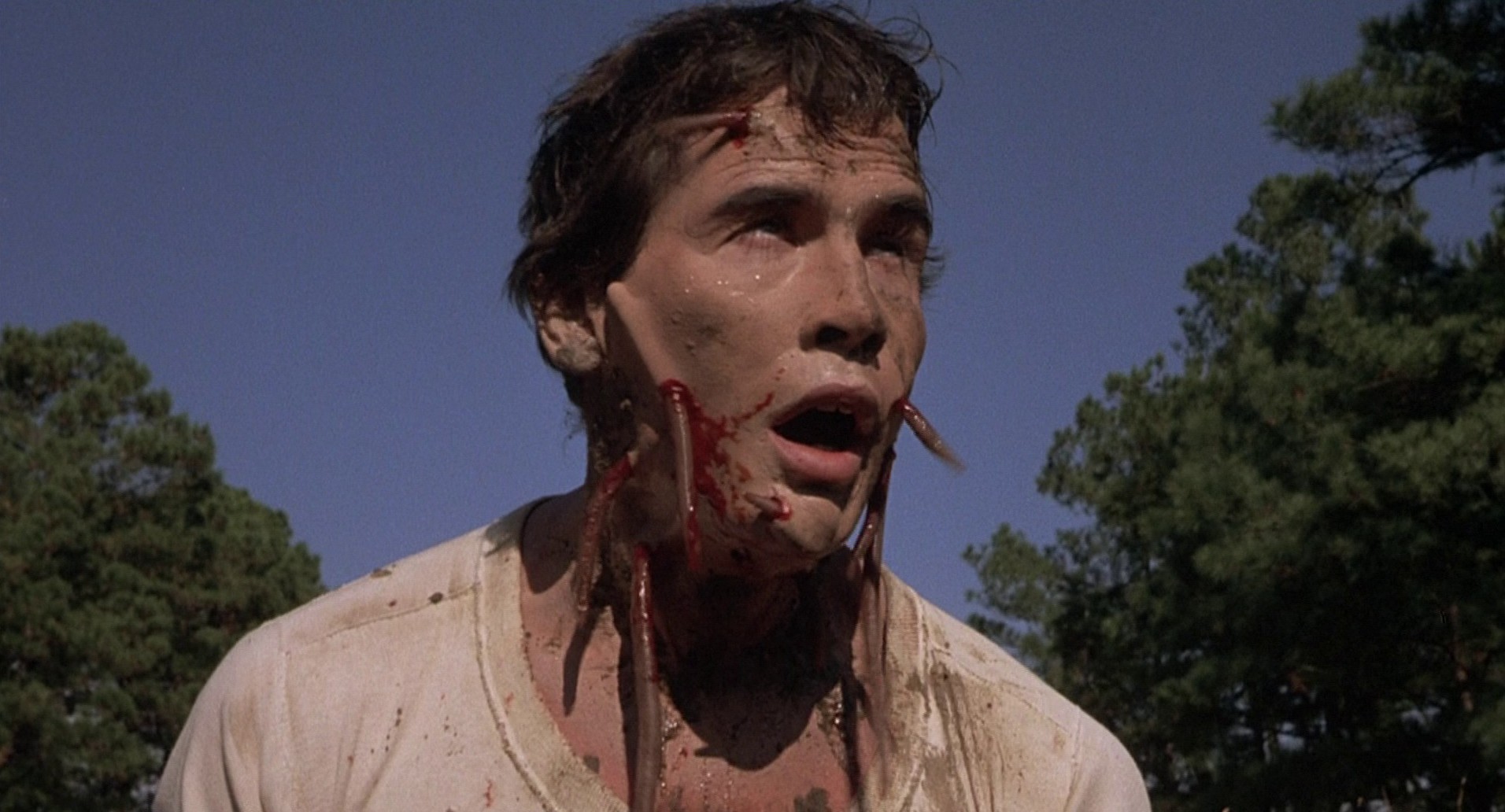 Squirm (1976) —  shot,  lighting