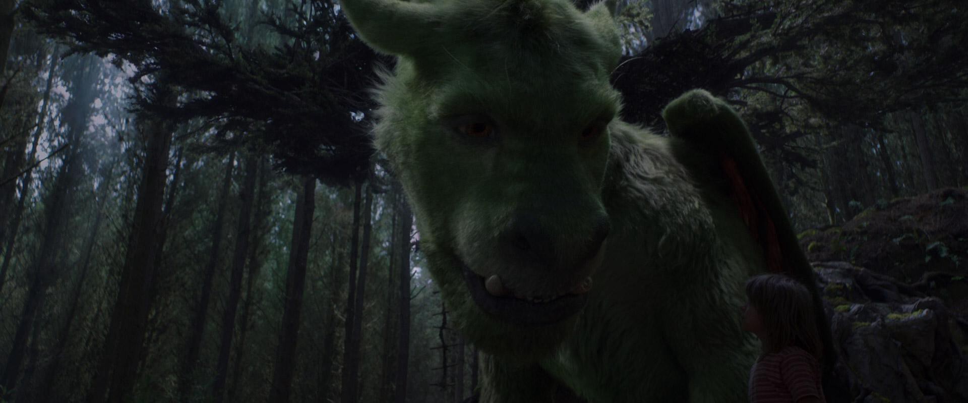 Pete's Dragon (2016) —  shot,  lighting